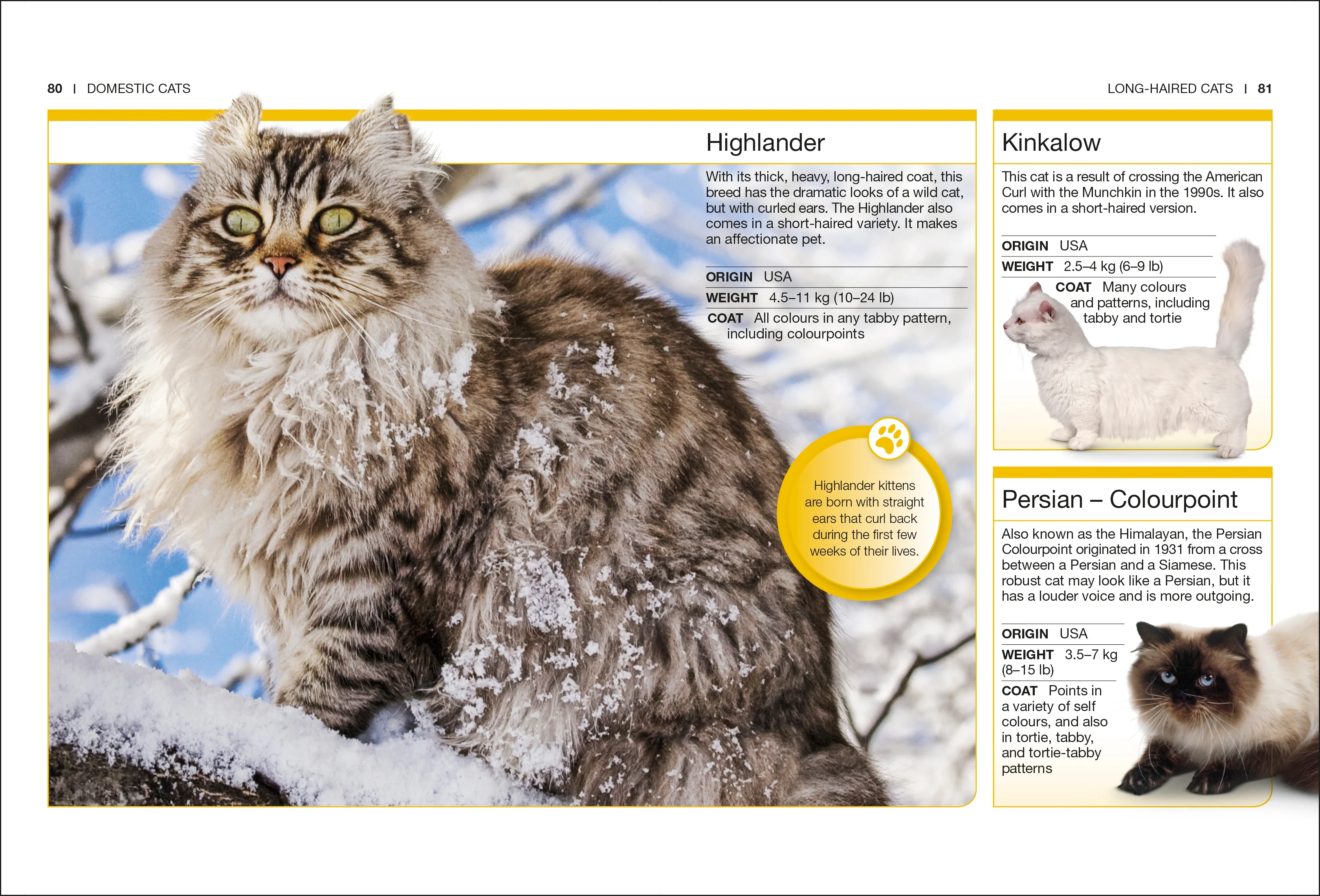 Cats - Image 4