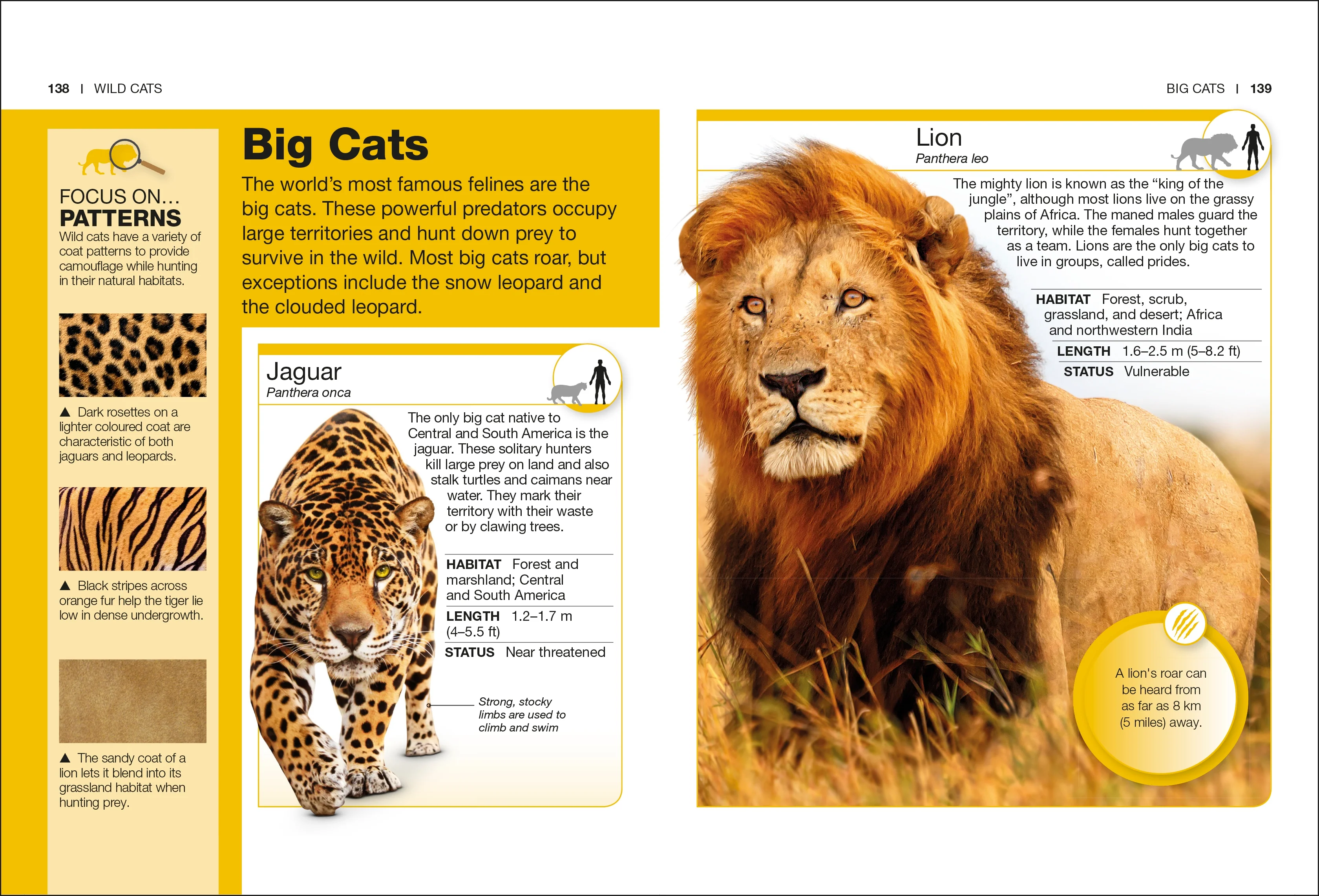 Cats - Image 5
