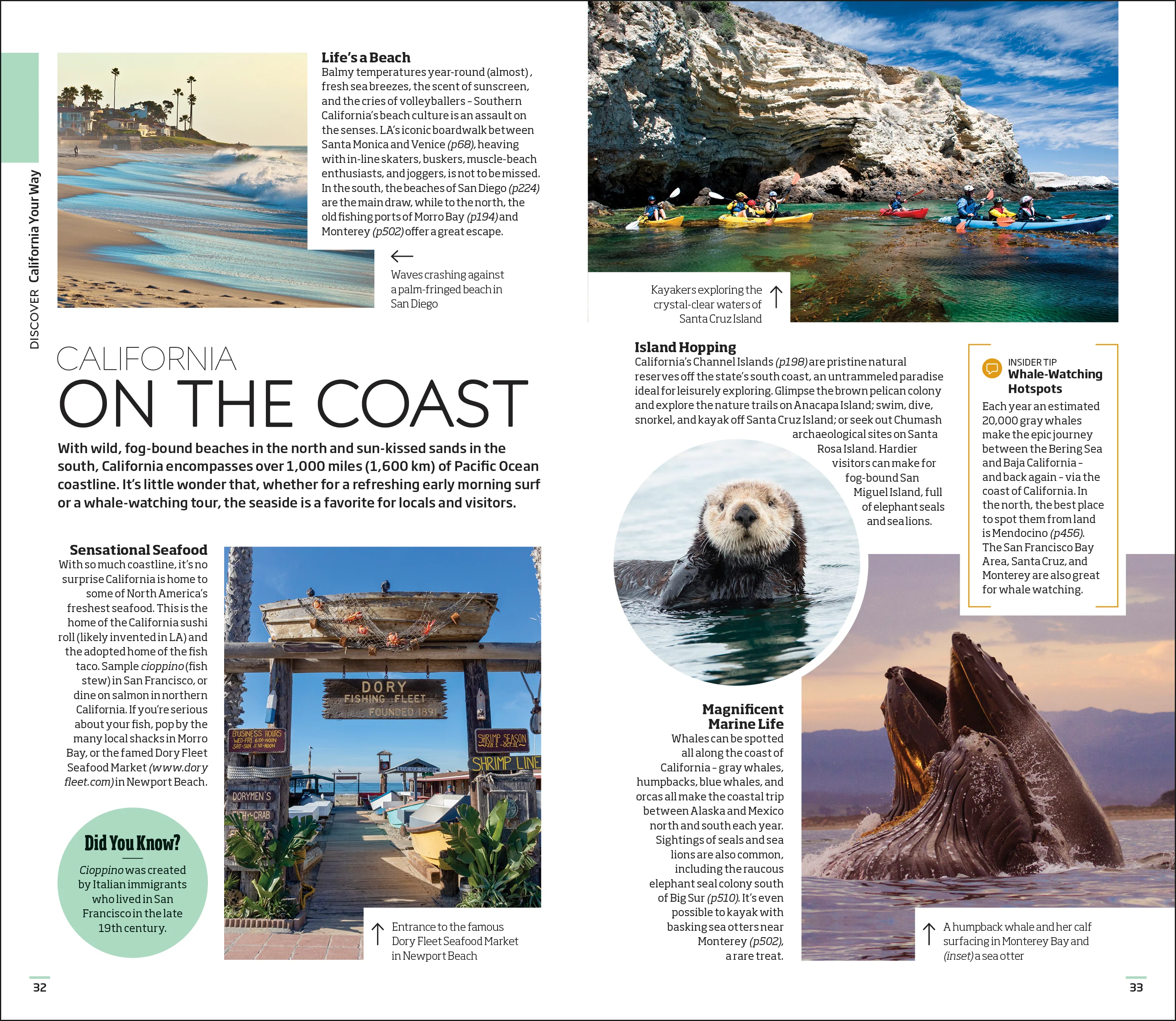 DK California - Image 4