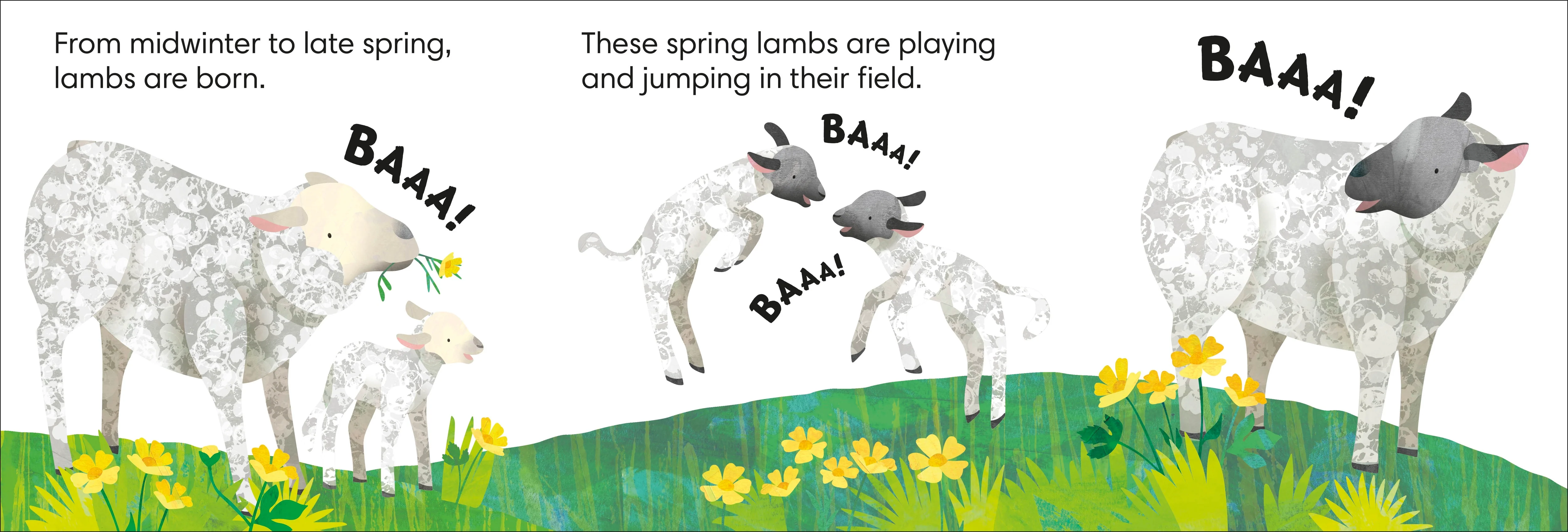 Jonny Lambert's Farm - Image 3