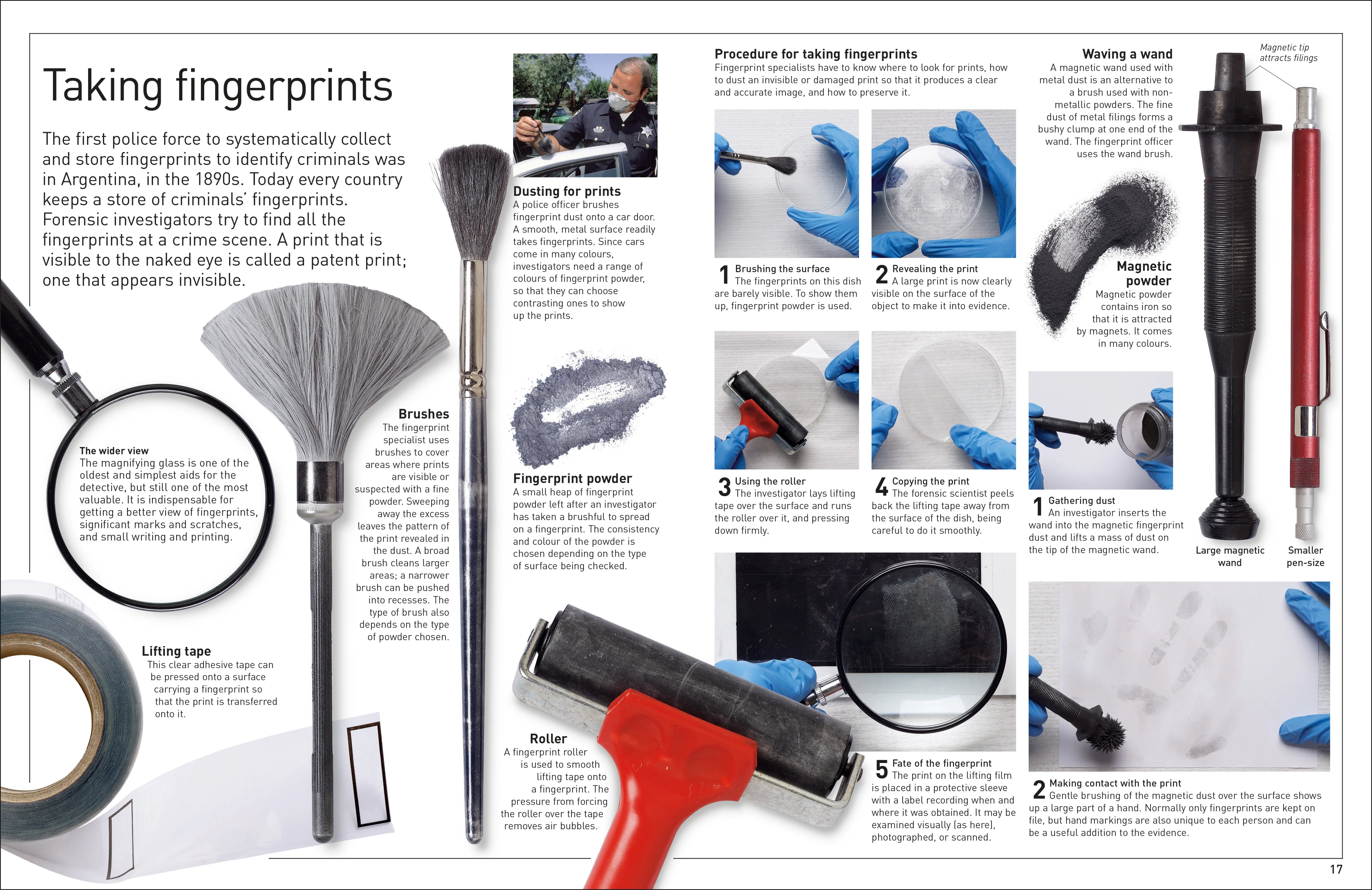 Forensic Science - Image 3