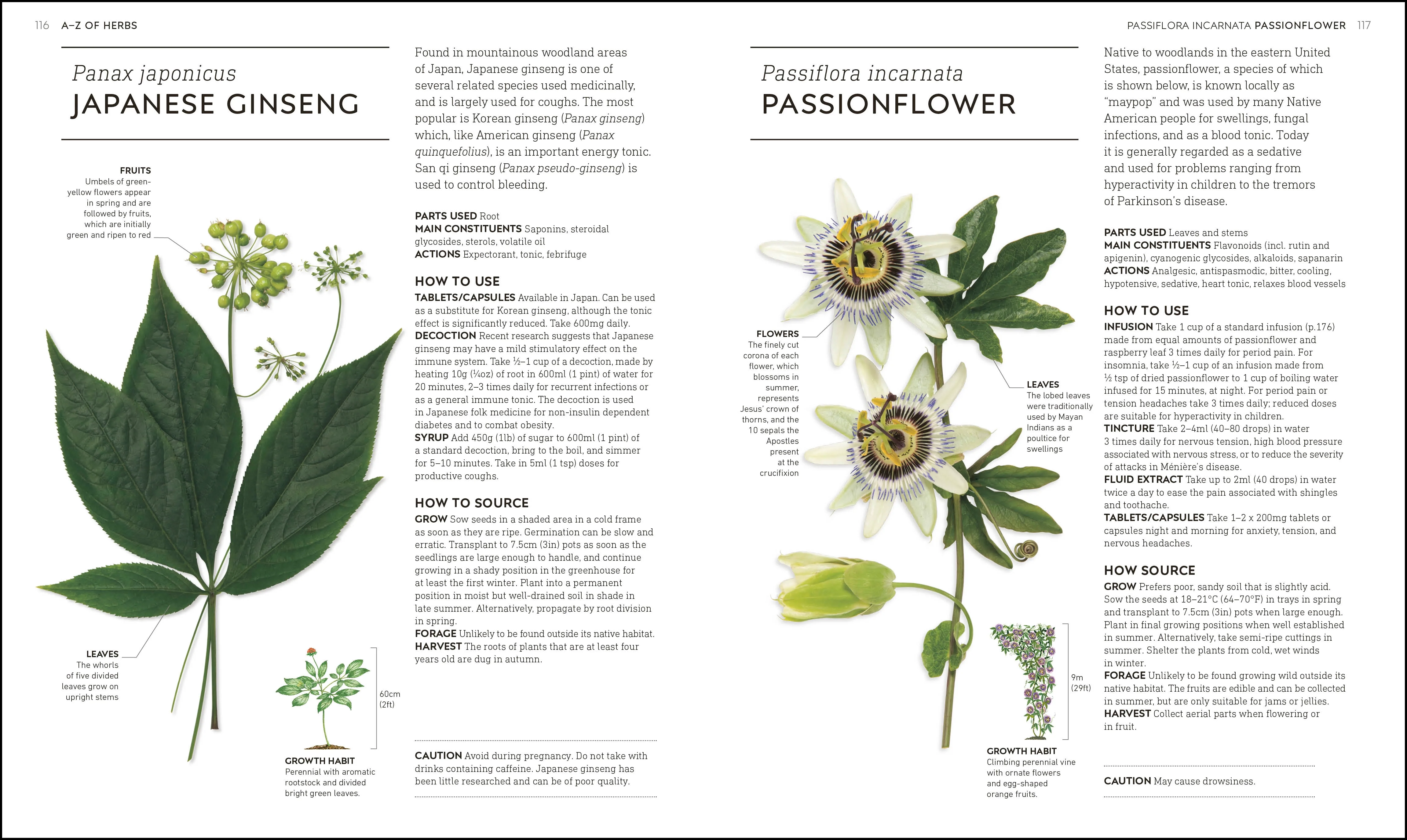 Neal's Yard Remedies Healing Herbs - Image 4