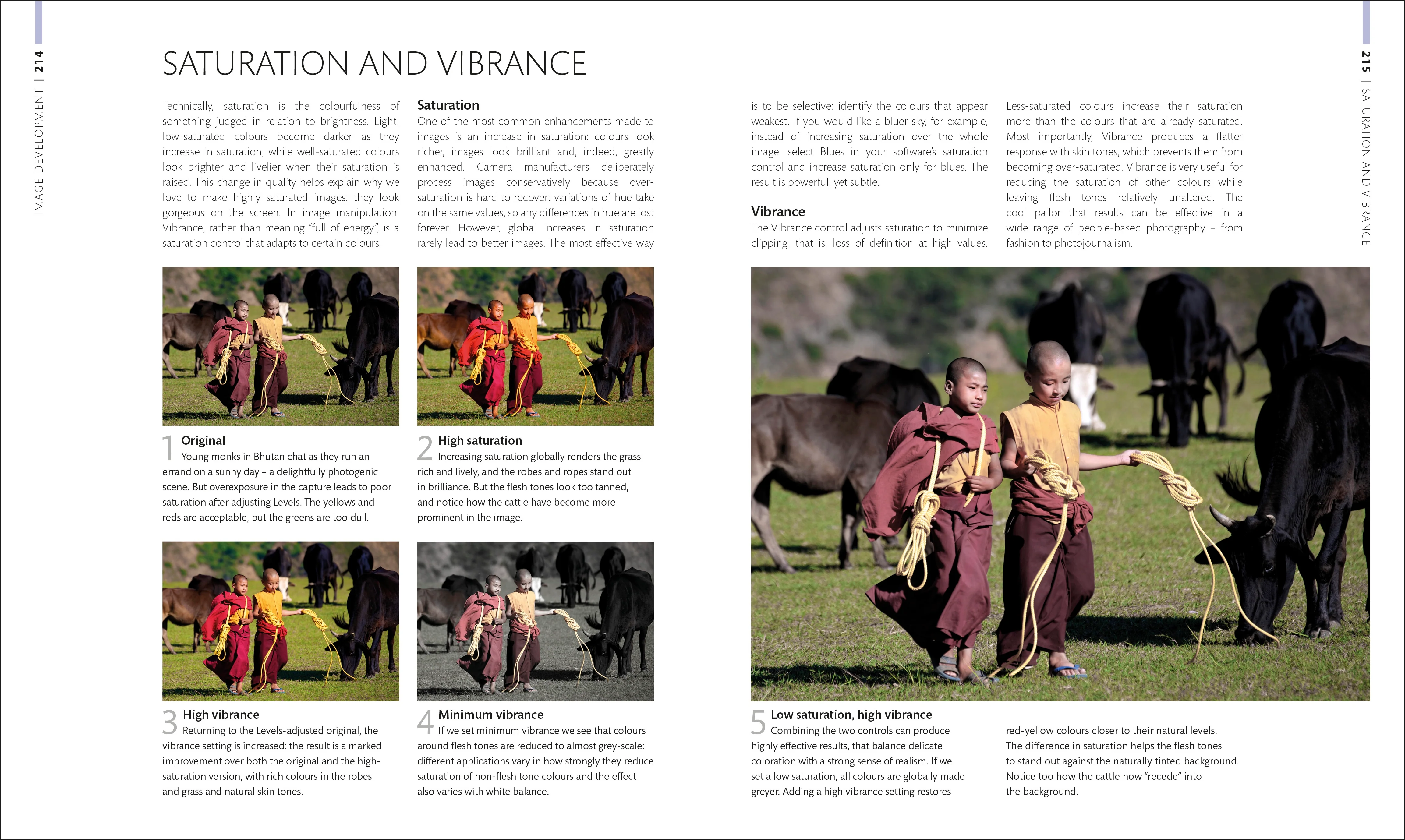Digital Photographer's Handbook - Image 7