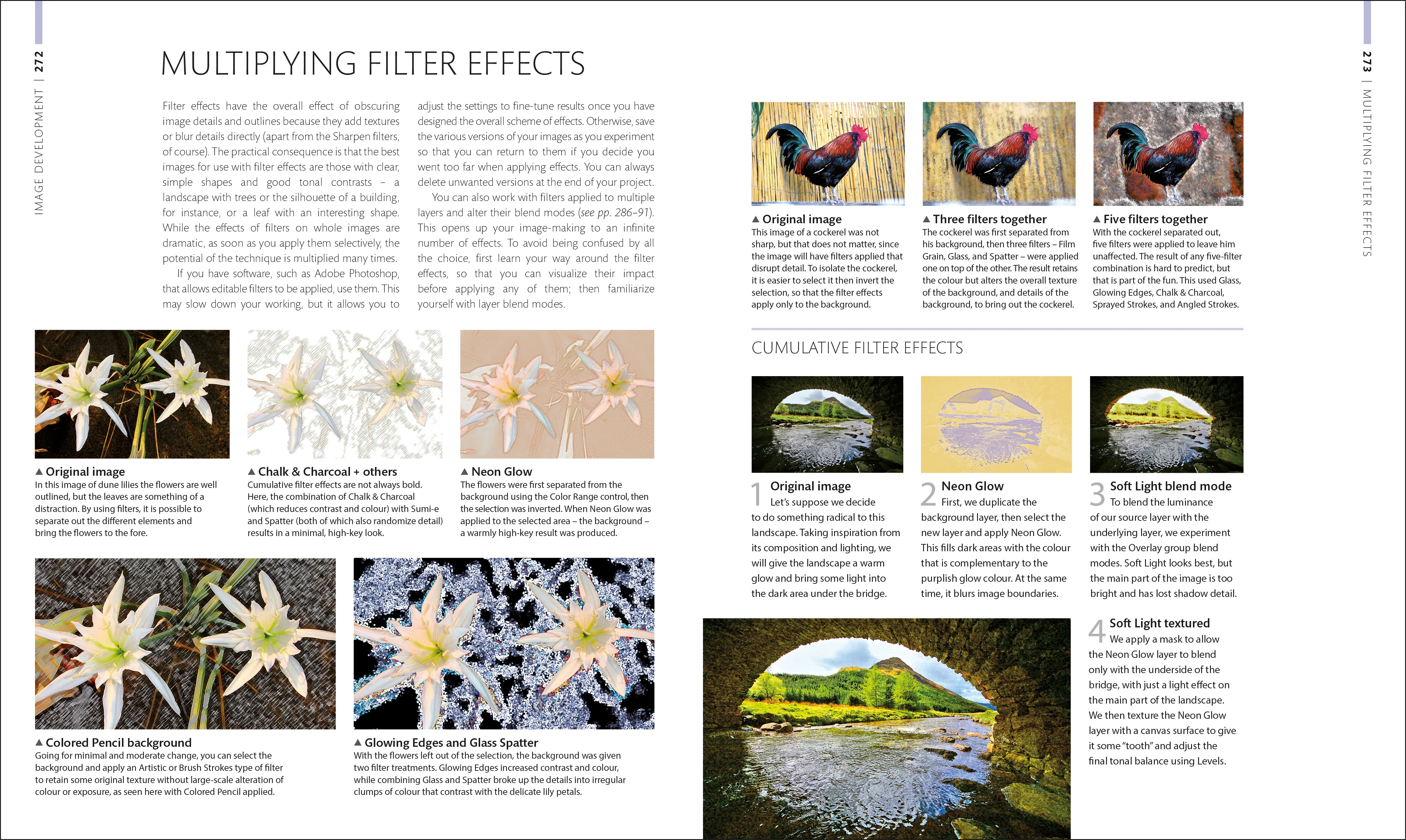 Digital Photographer's Handbook - Image 8