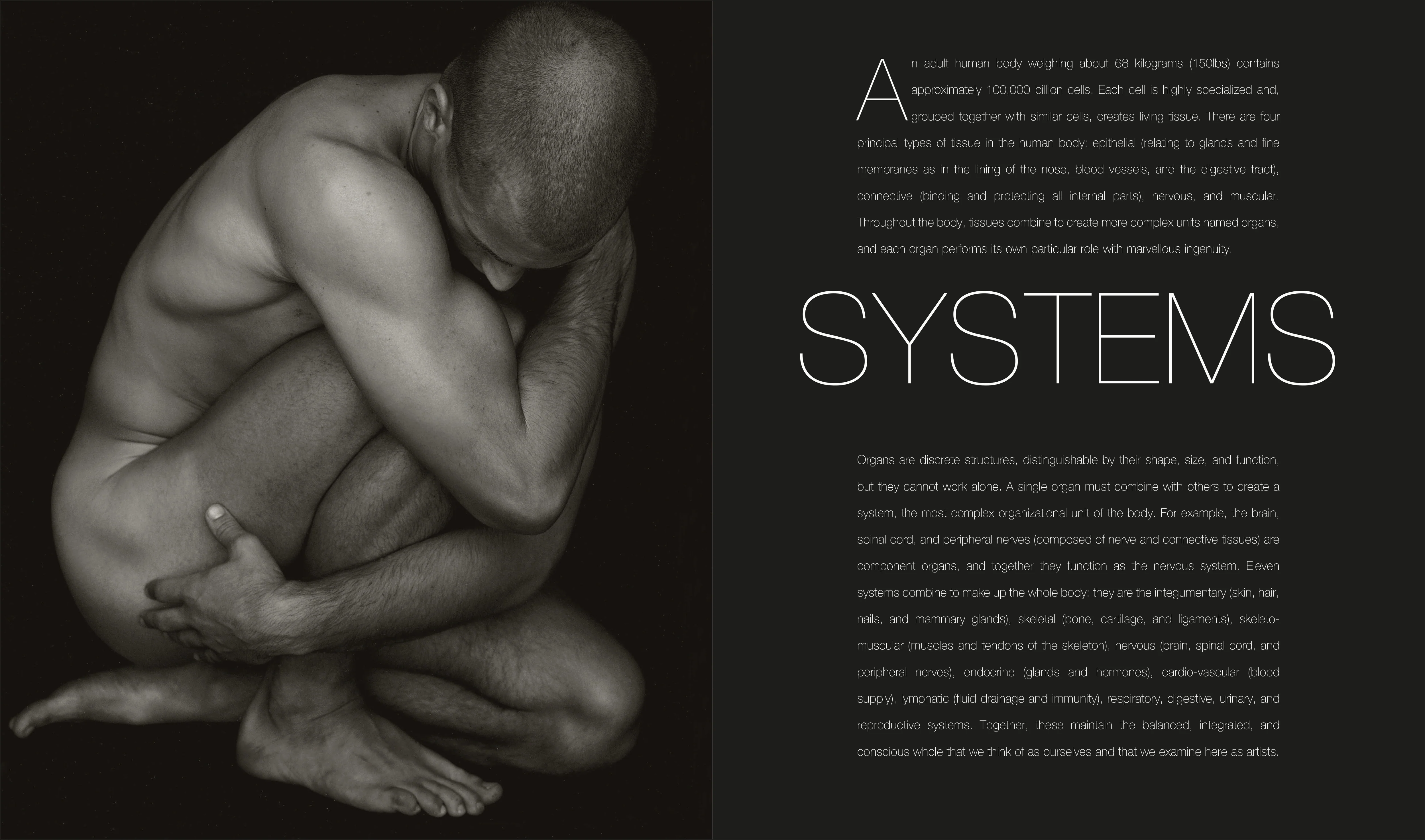 Anatomy for the Artist - Image 2