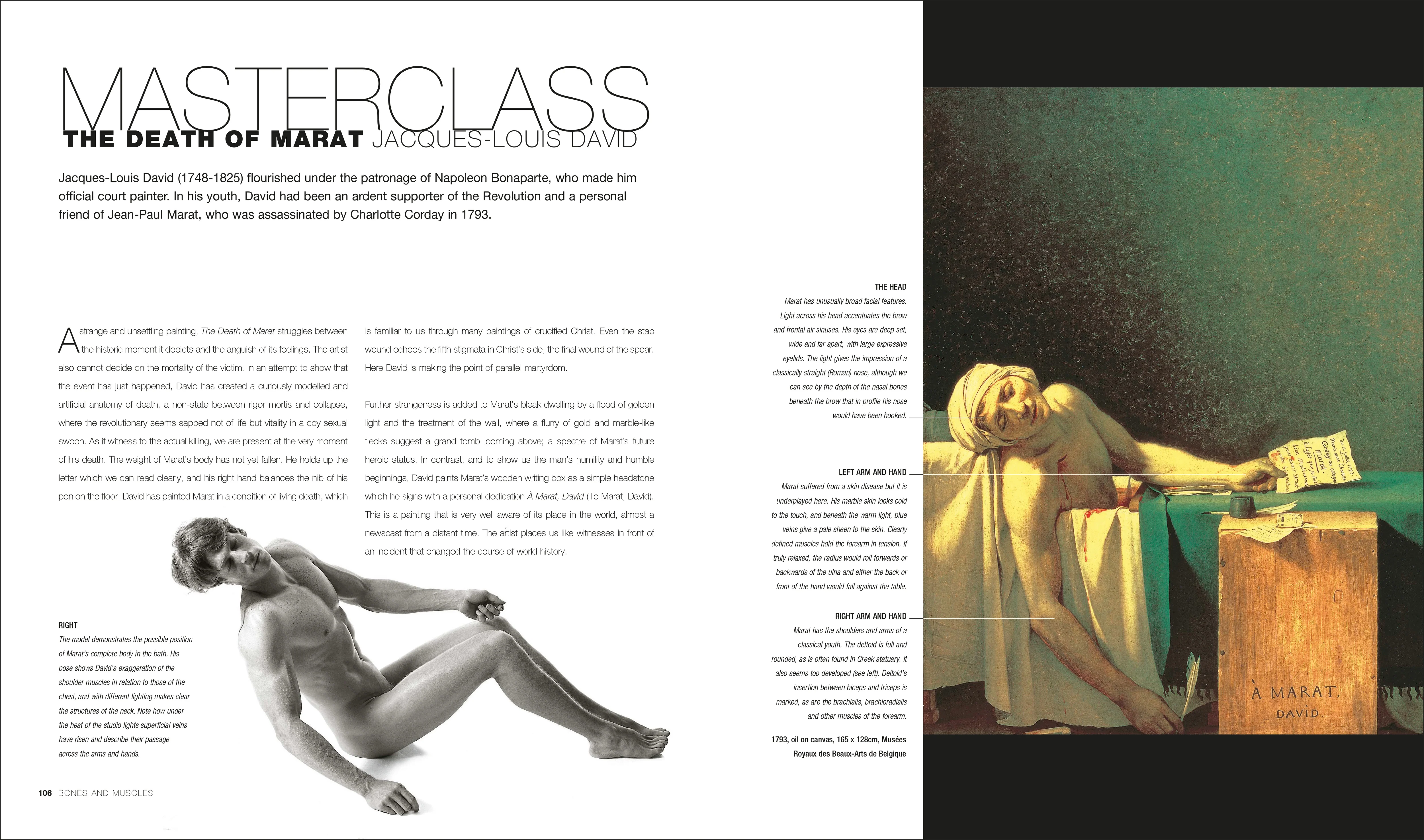 Anatomy for the Artist - Image 6