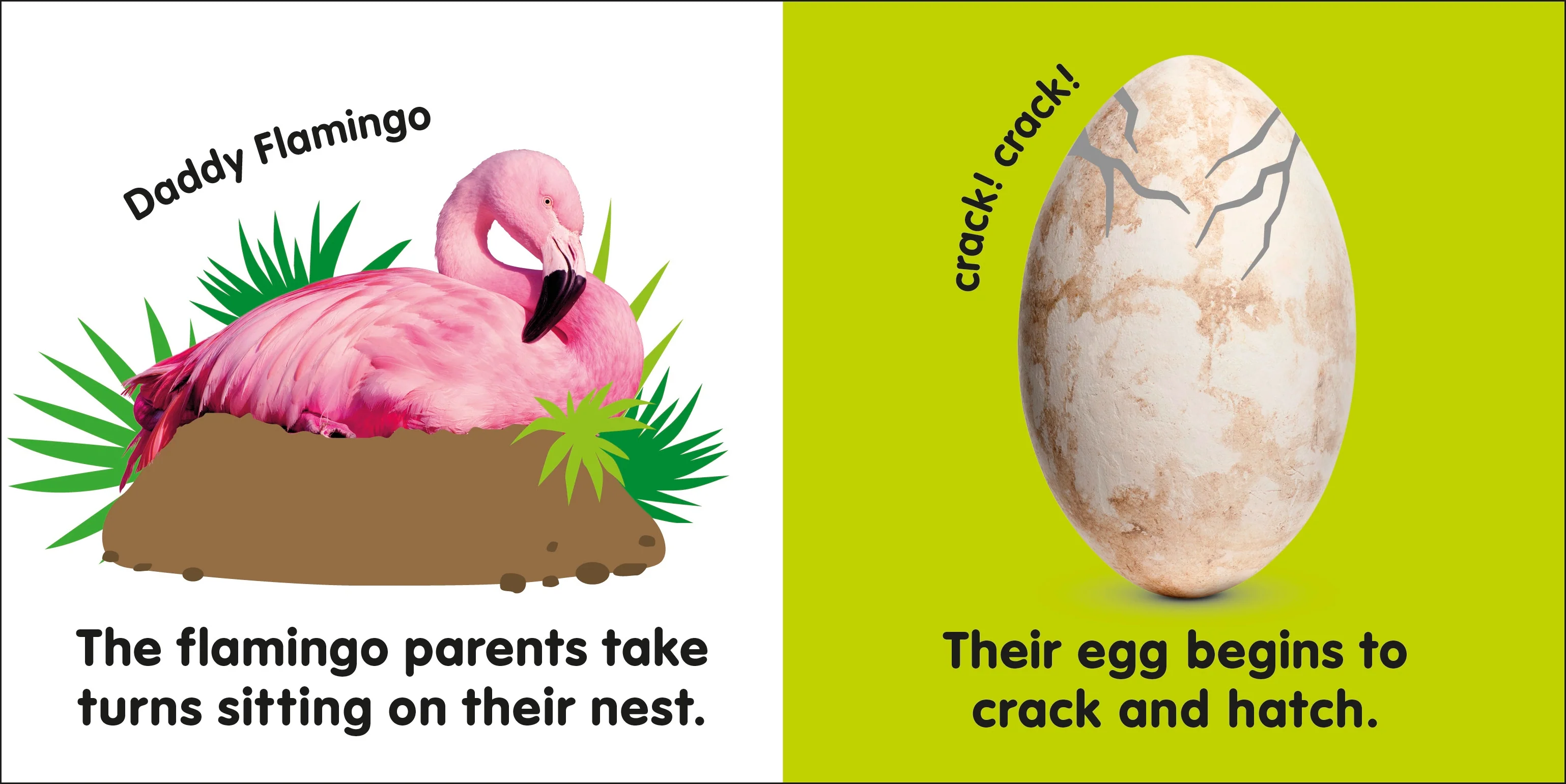 Baby Touch and Feel Flamingo - Image 2
