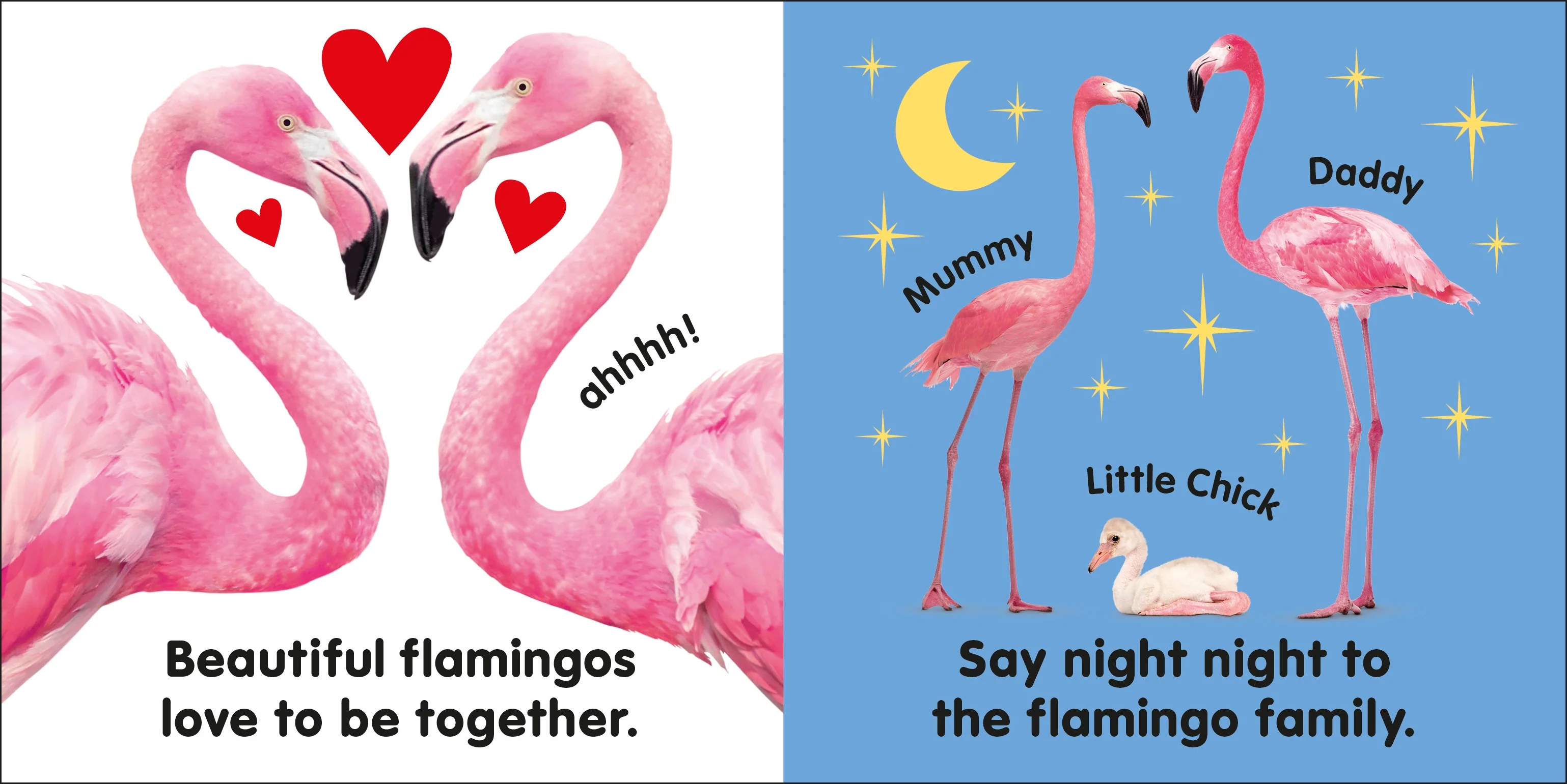 Baby Touch and Feel Flamingo - Image 3