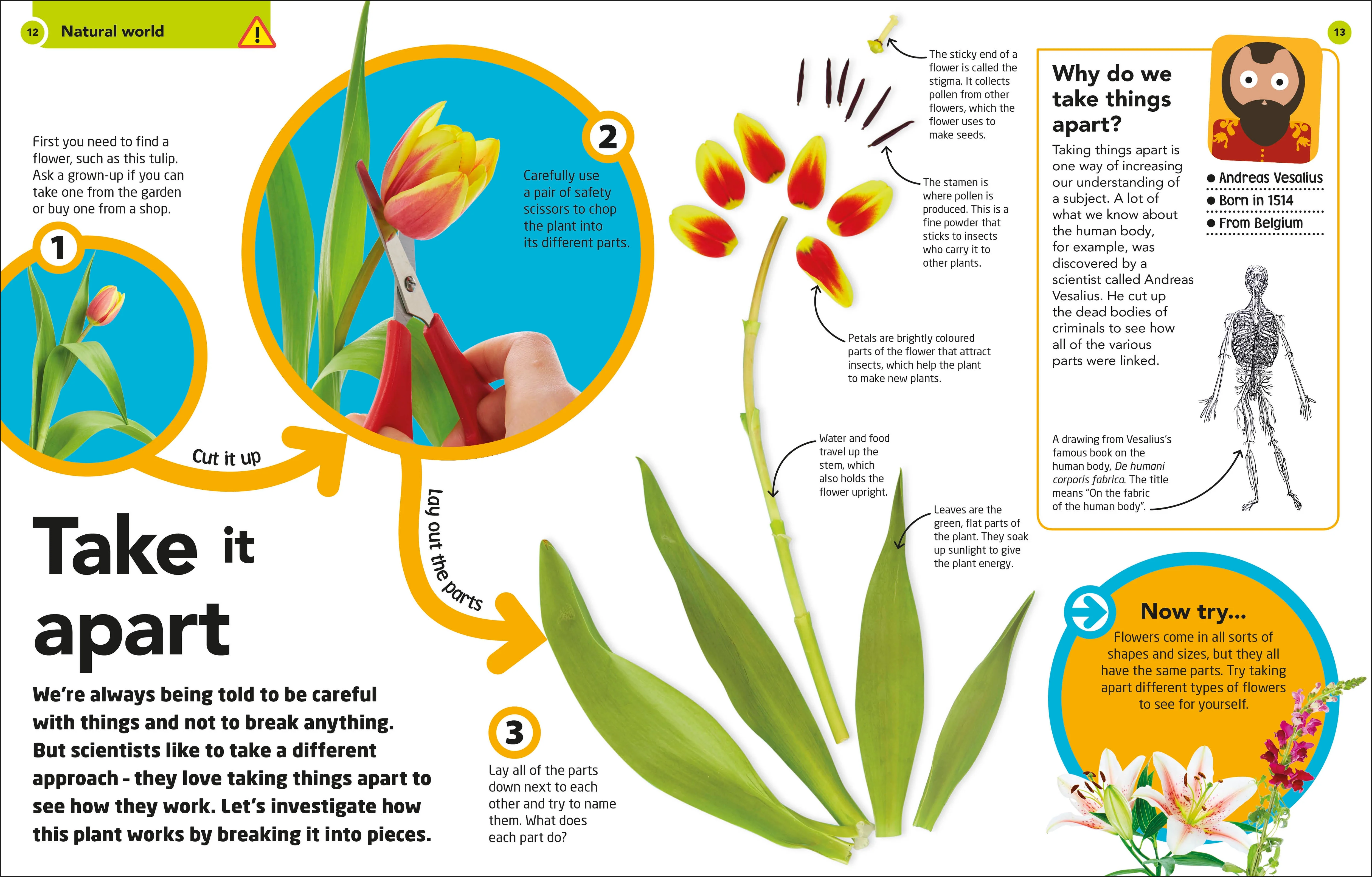 How to Be a Scientist - Image 2