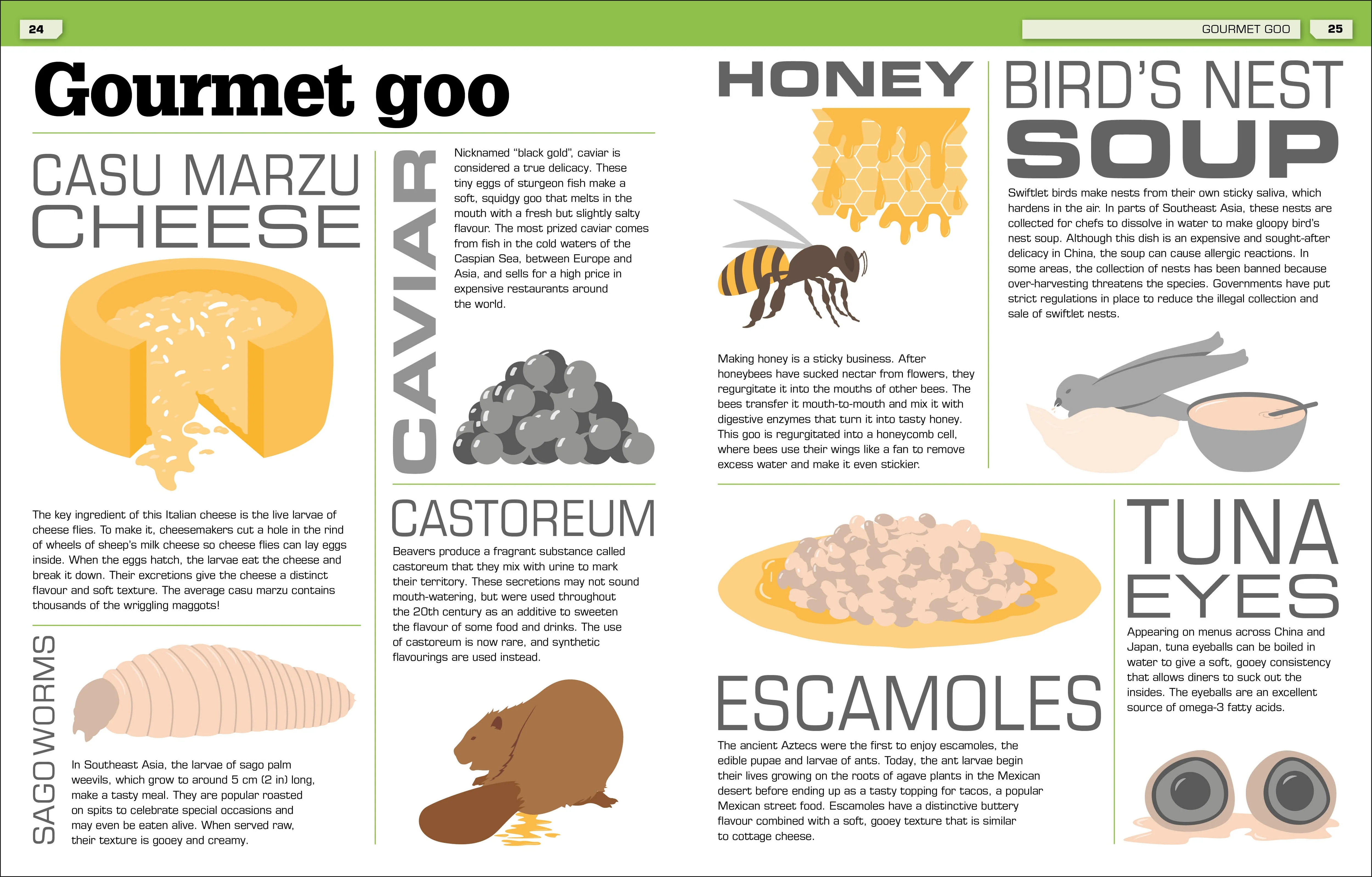 The Science of Goo! - Image 5
