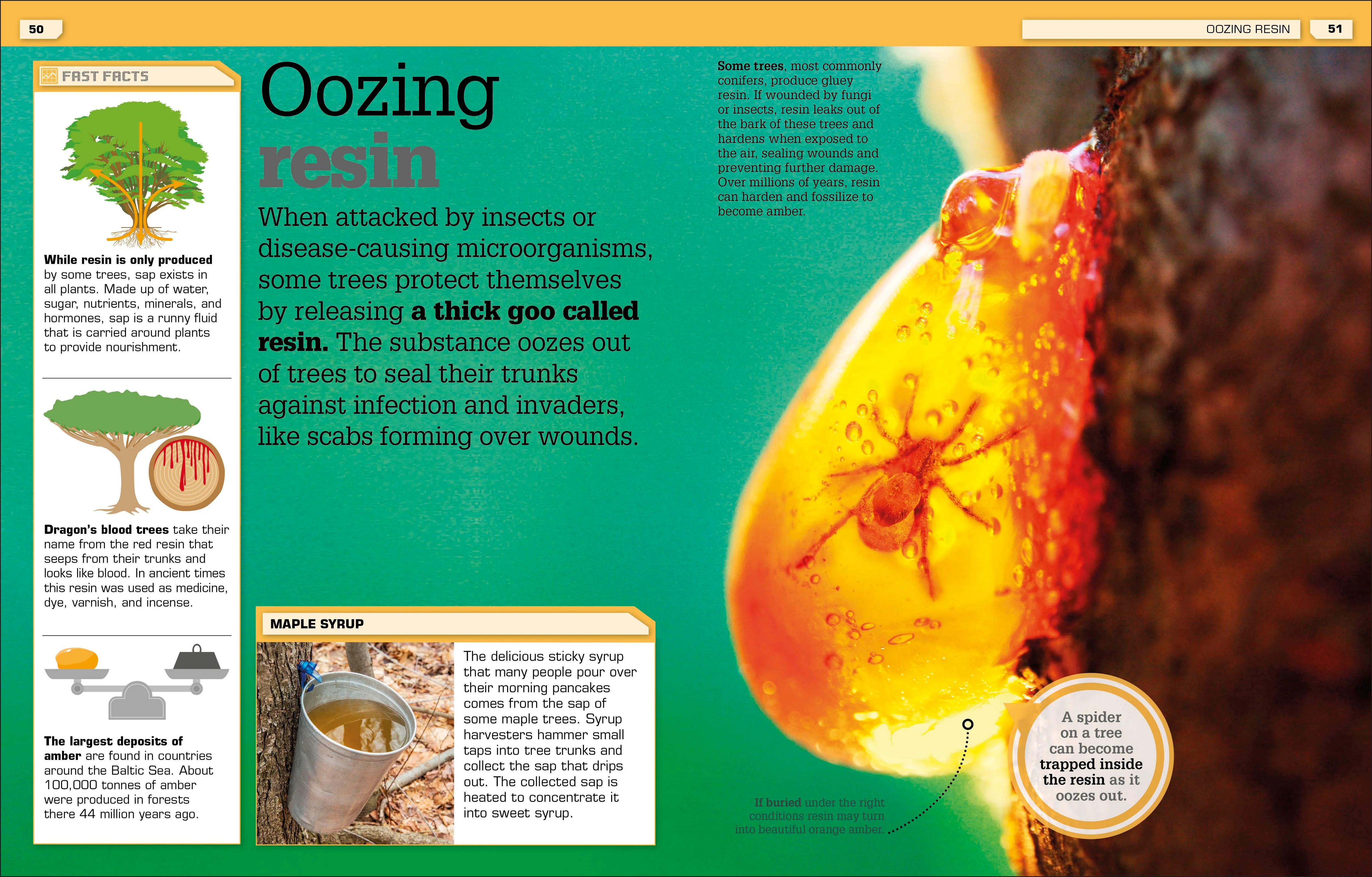 The Science of Goo! - Image 7