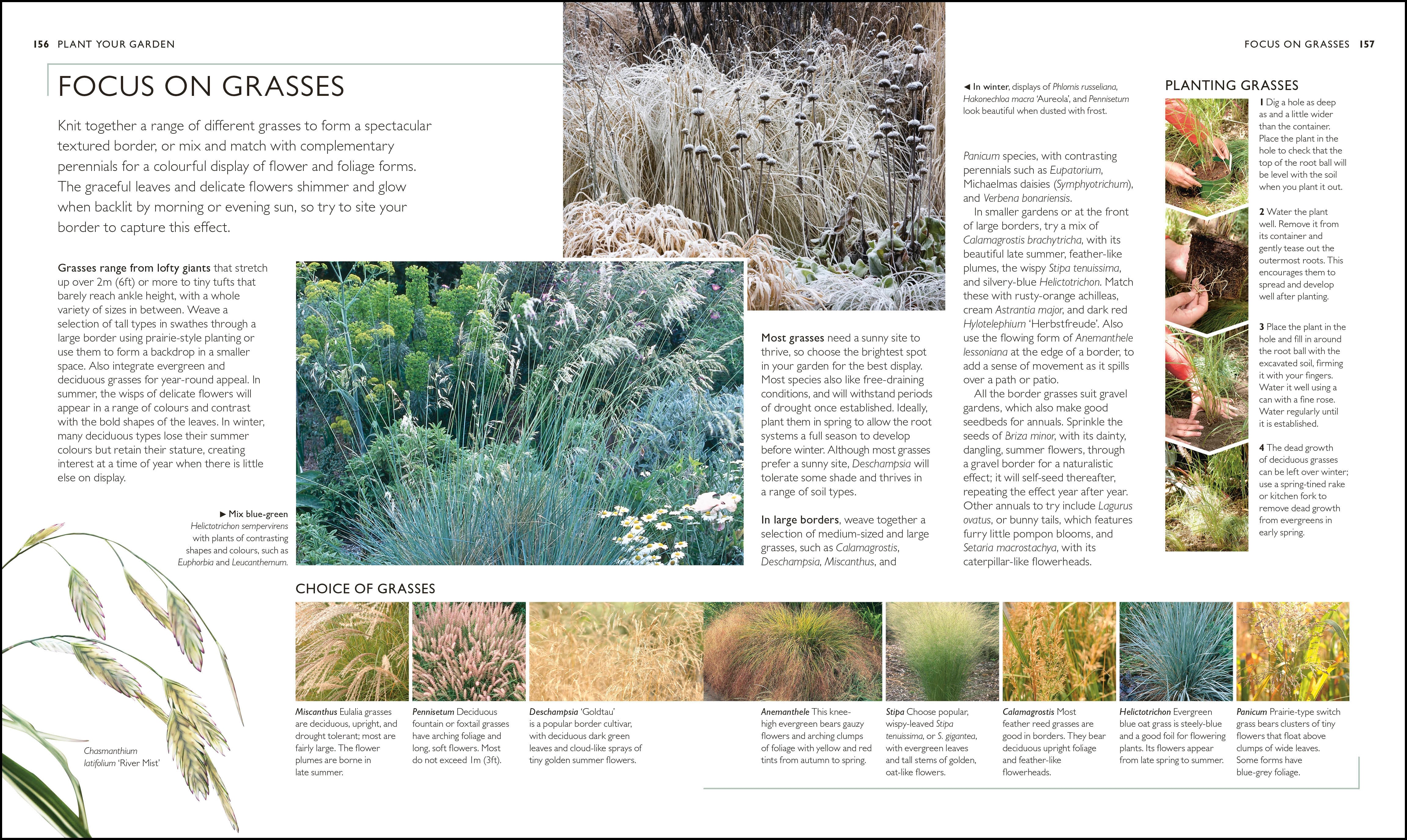 RHS Complete Gardener's Manual - Image 4