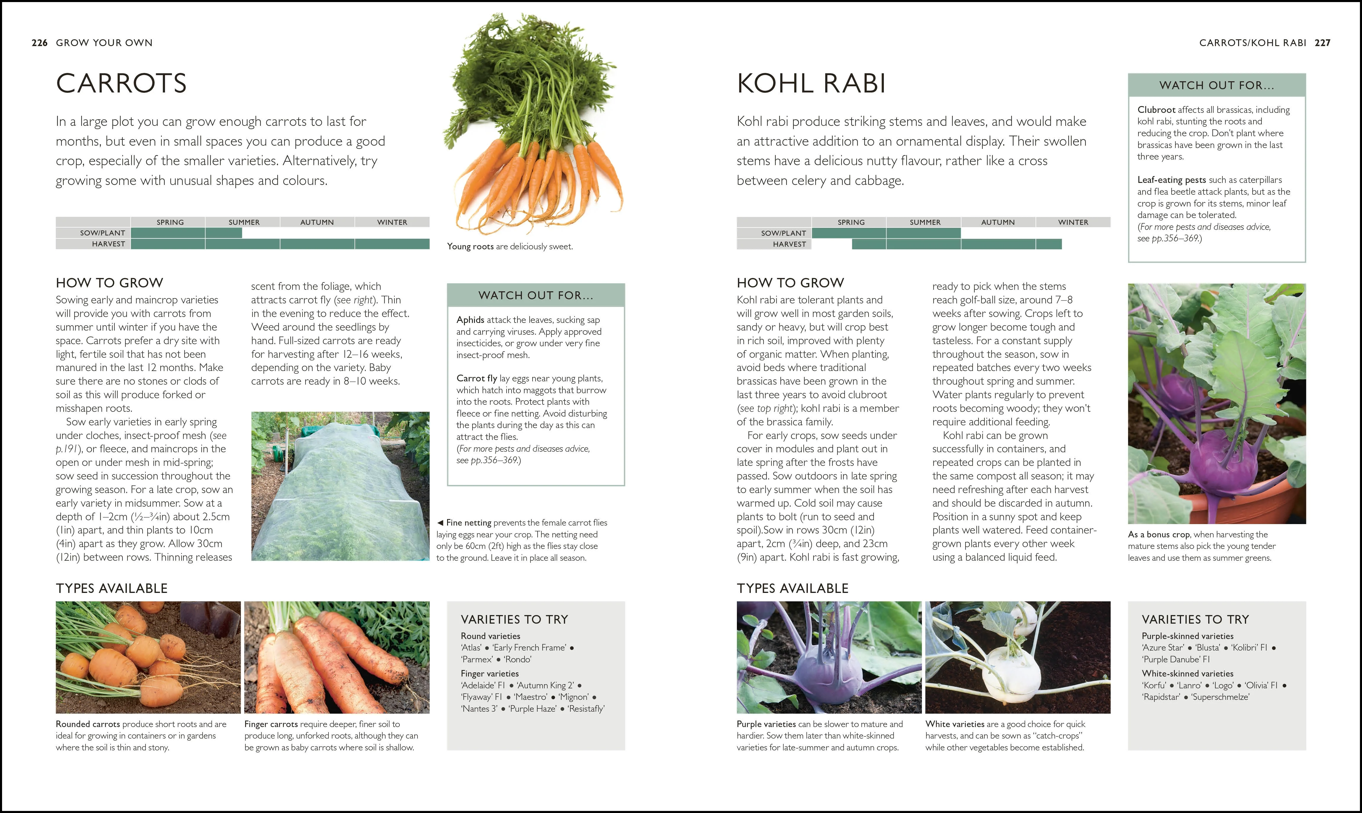 RHS Complete Gardener's Manual - Image 5