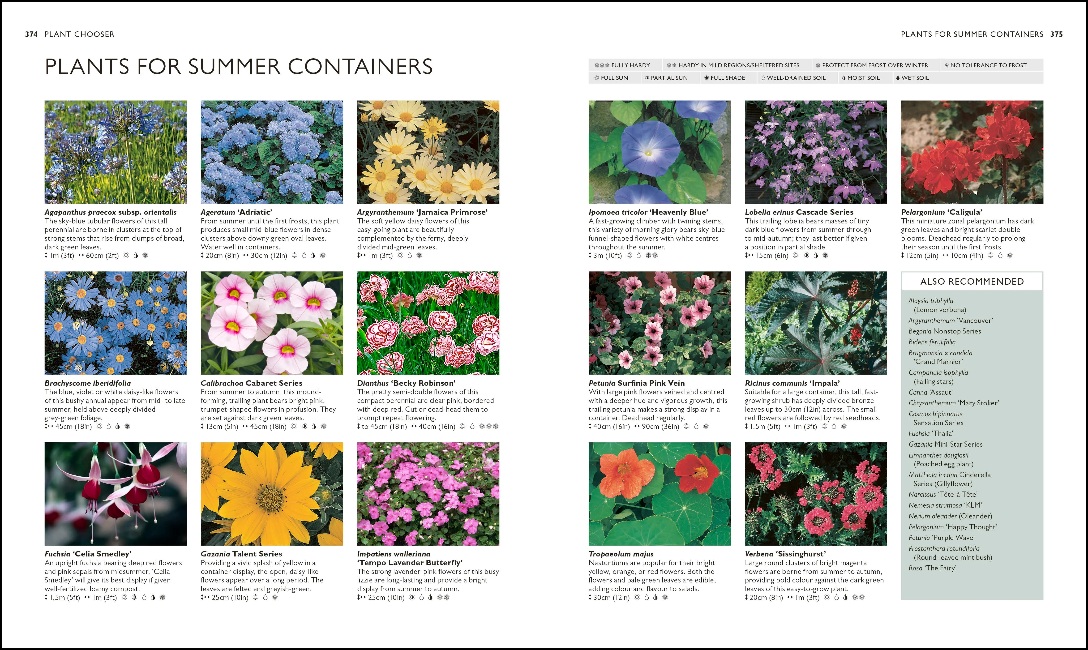 RHS Complete Gardener's Manual - Image 6