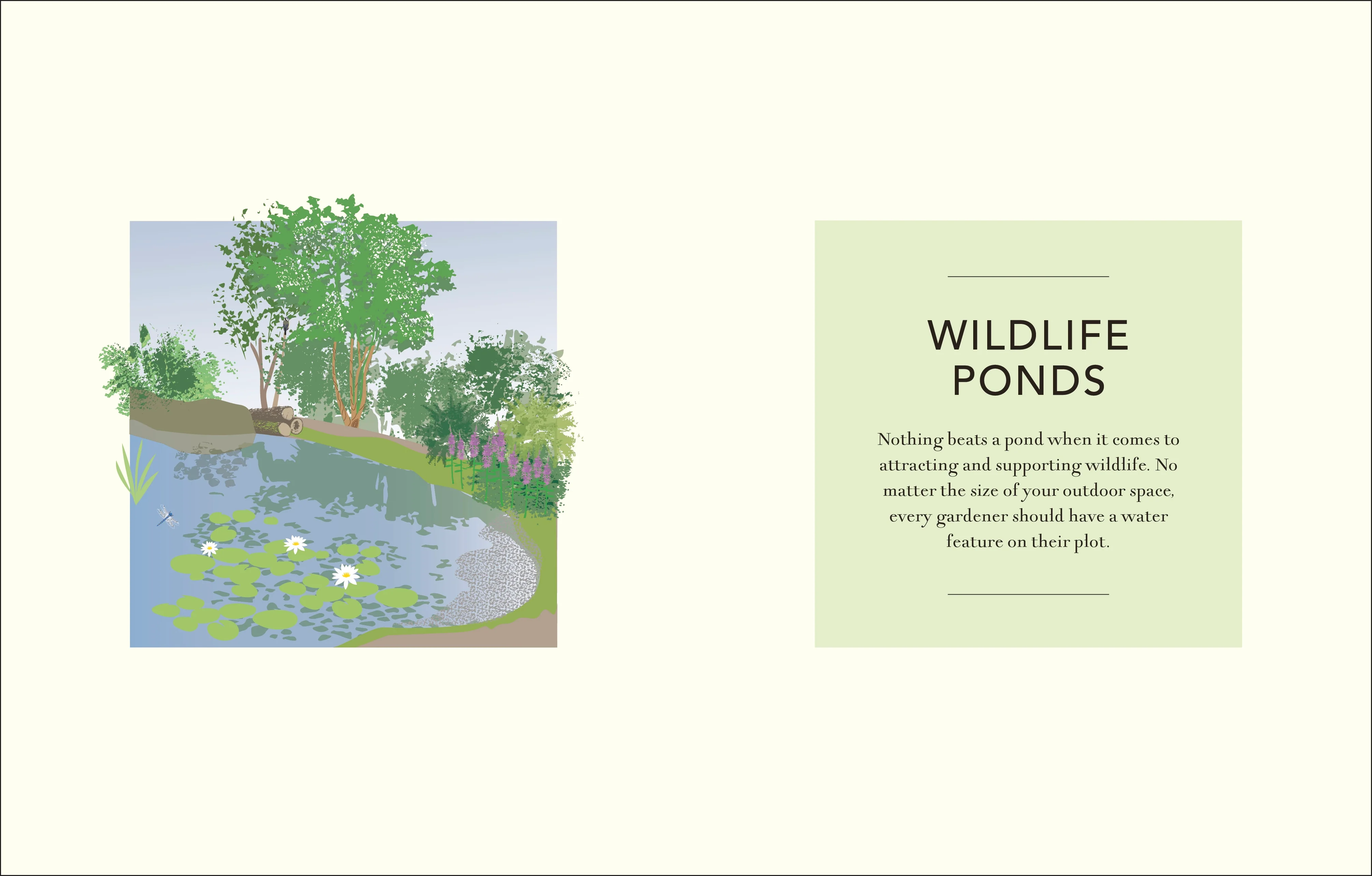 Wild Your Garden - Image 2