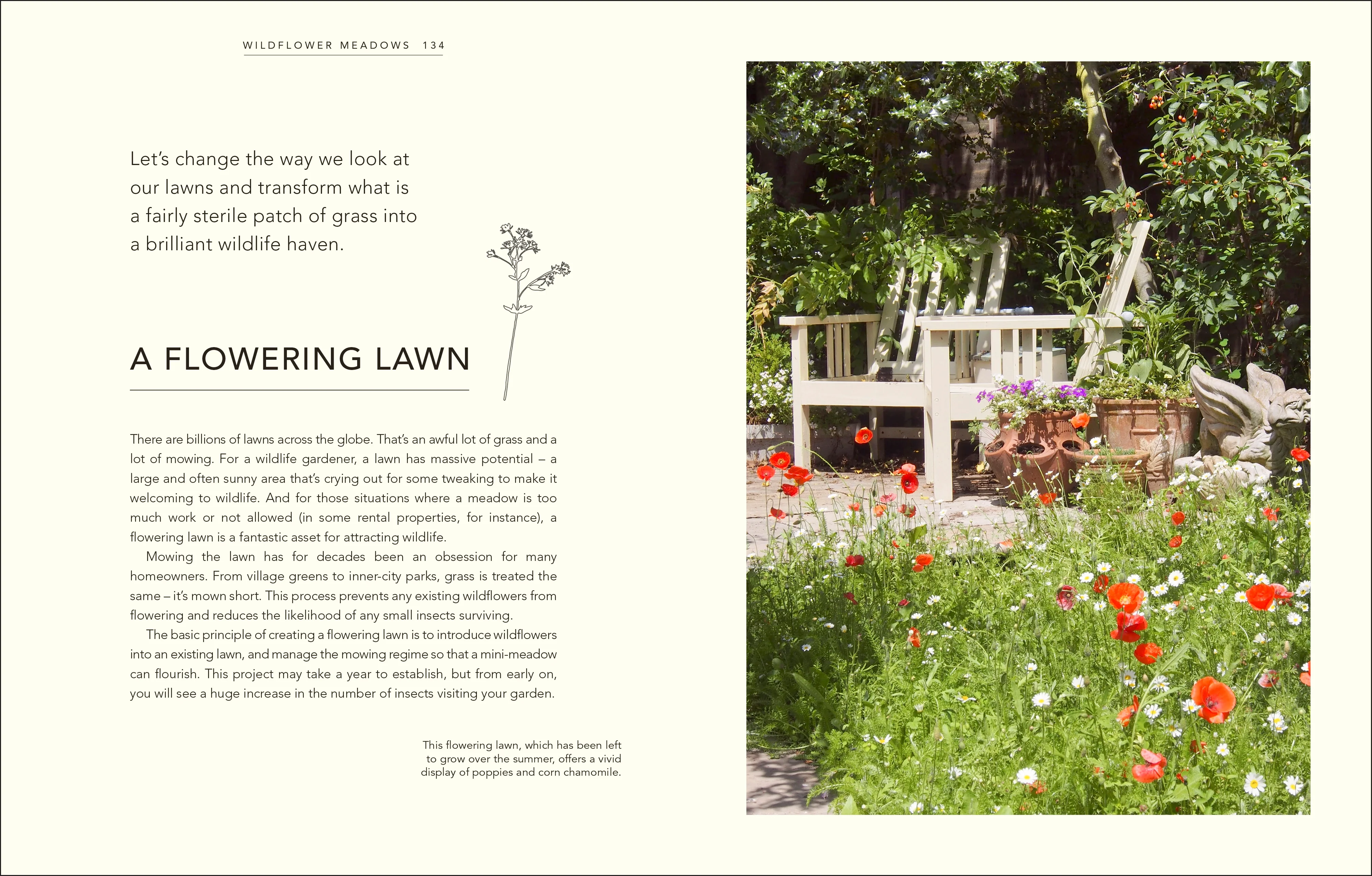 Wild Your Garden - Image 5