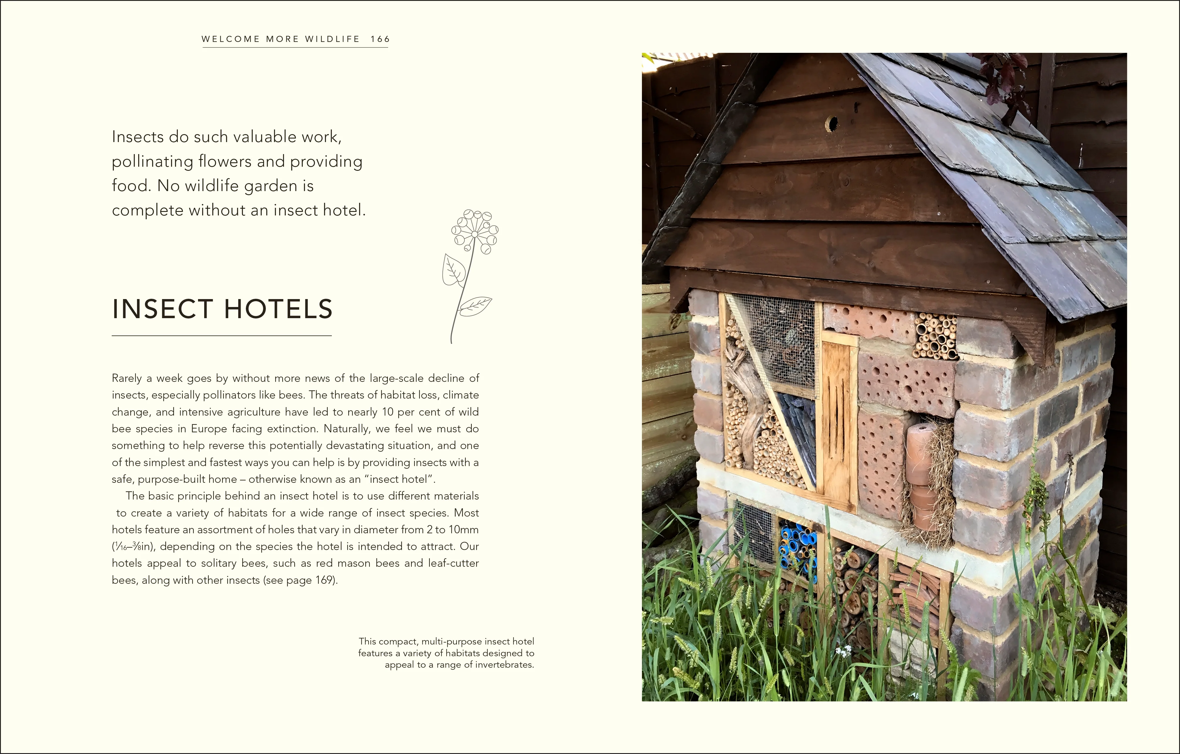 Wild Your Garden - Image 6