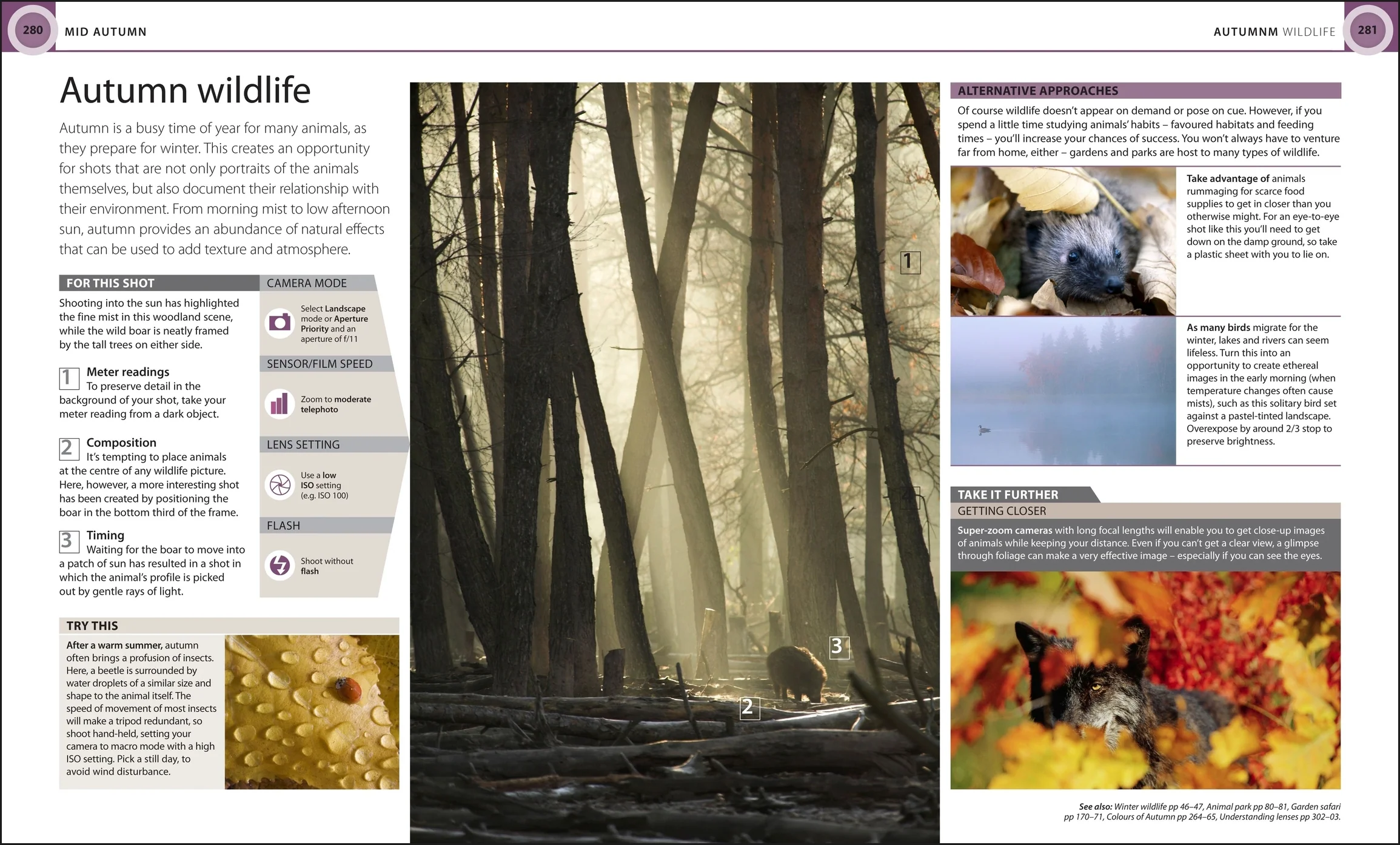 Digital Photography Month by Month - Image 5