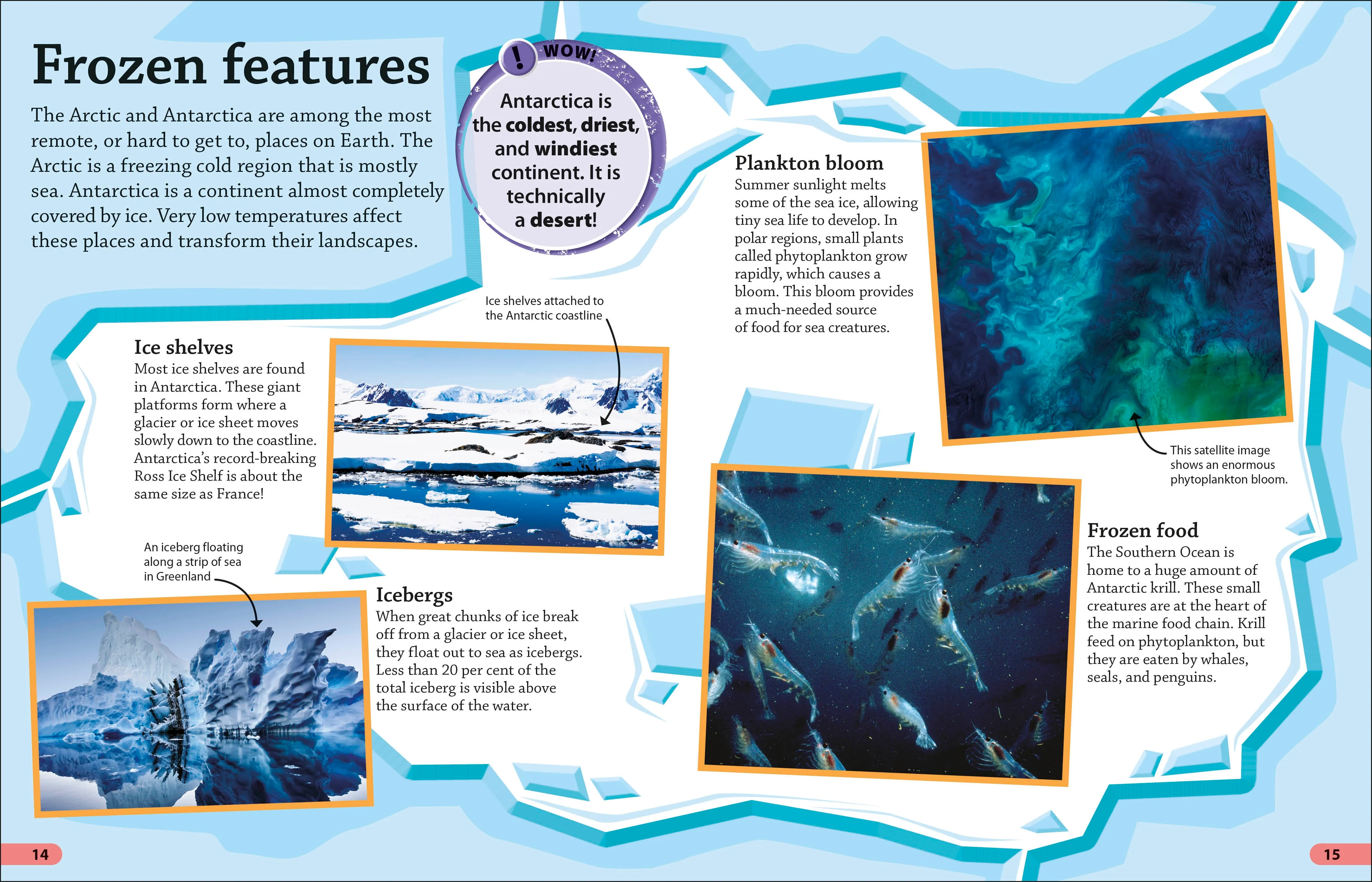 DKfindout! Oceans - Image 2