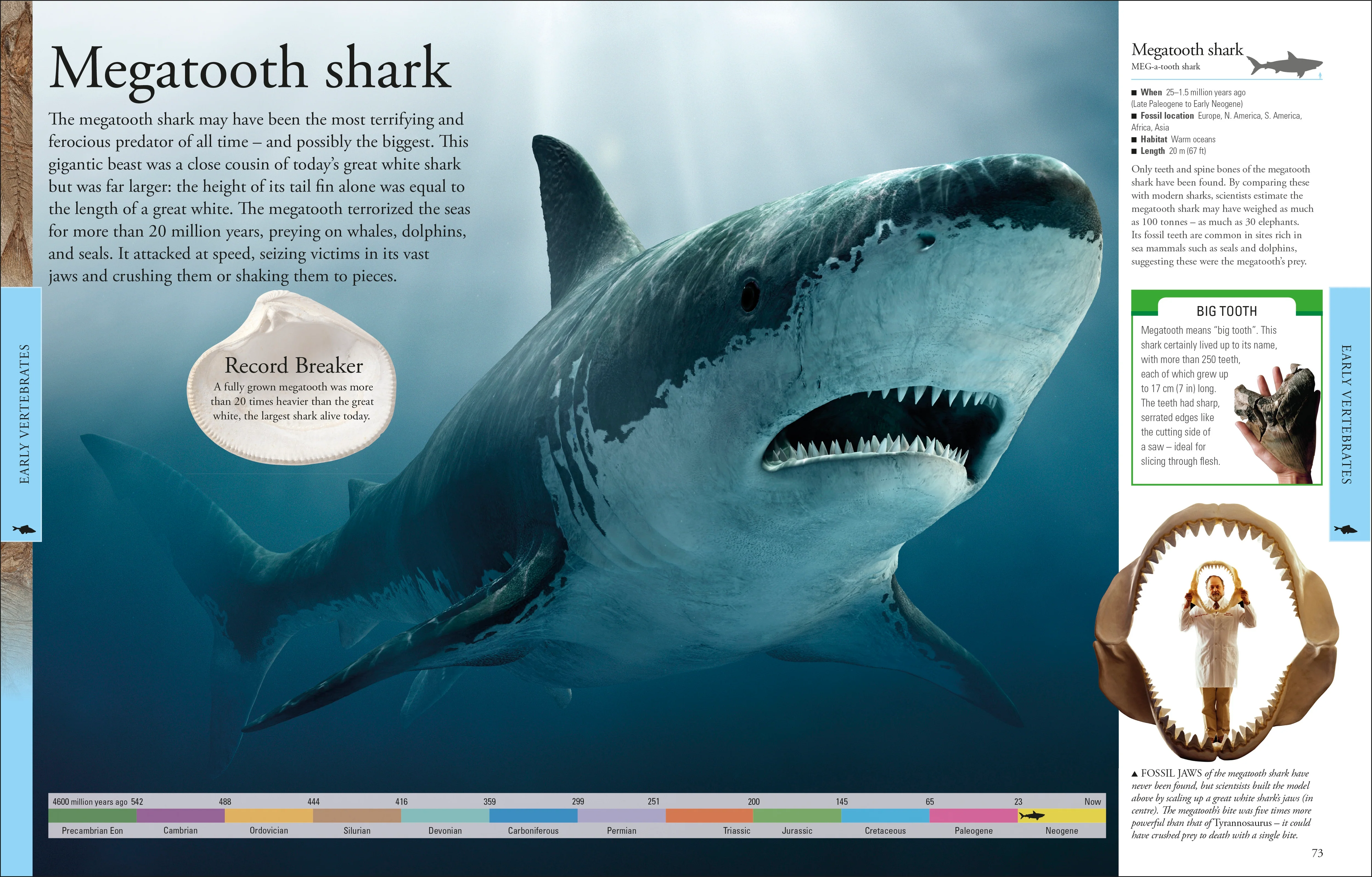 Dinosaurs A Children's Encyclopedia - Image 2