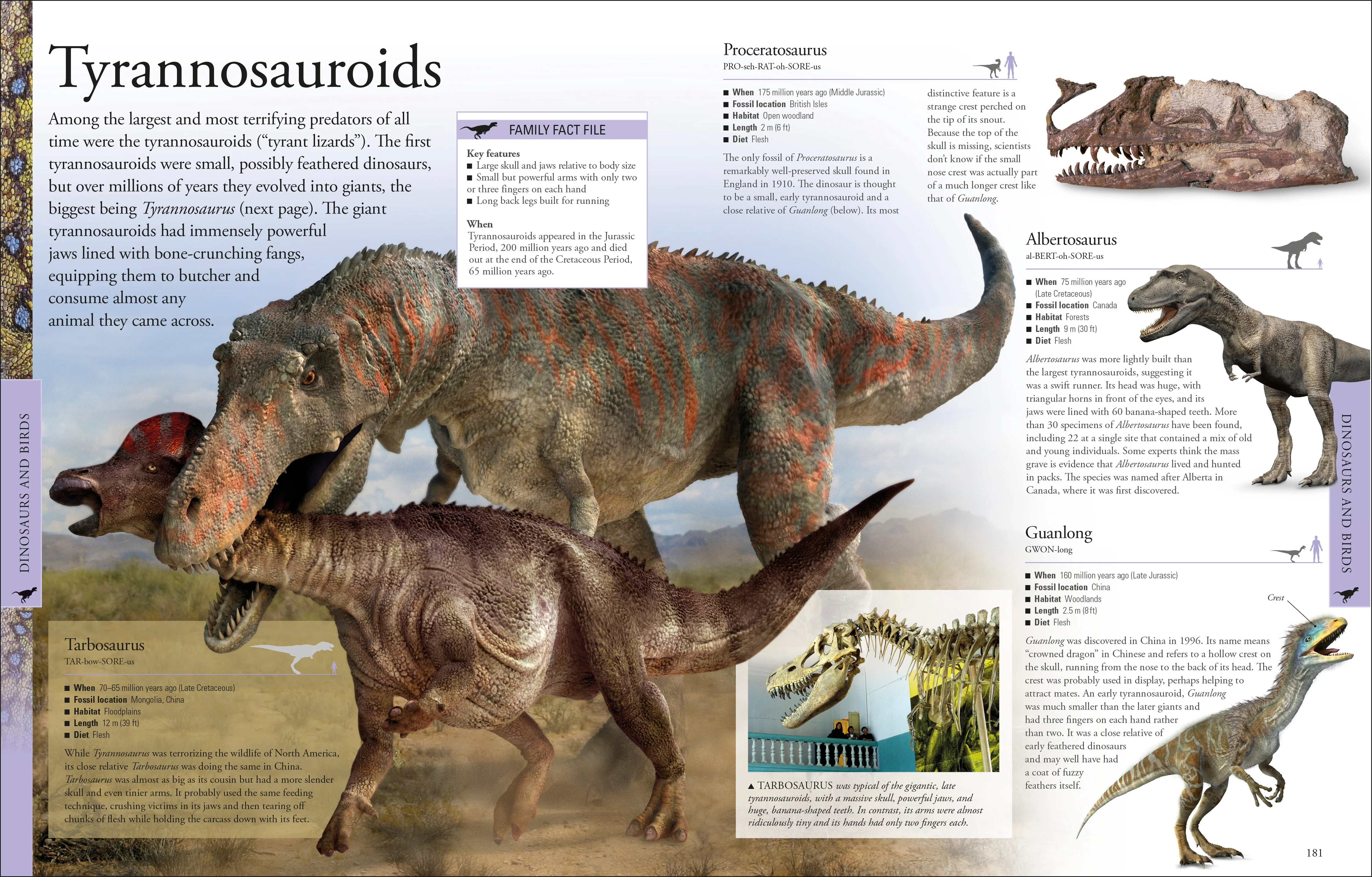 Dinosaurs A Children's Encyclopedia - Image 3
