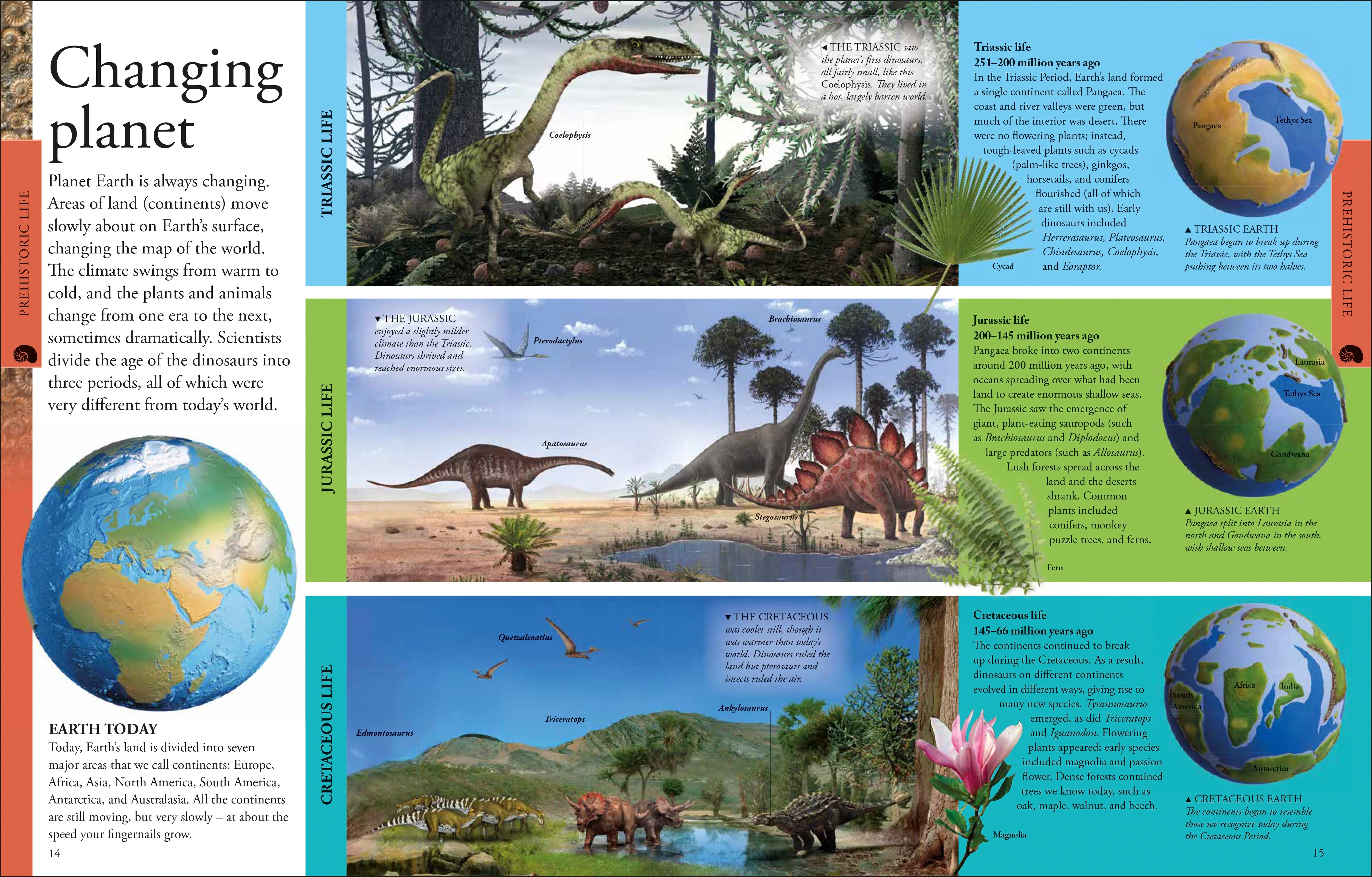 Dinosaurs A Children's Encyclopedia - Image 5