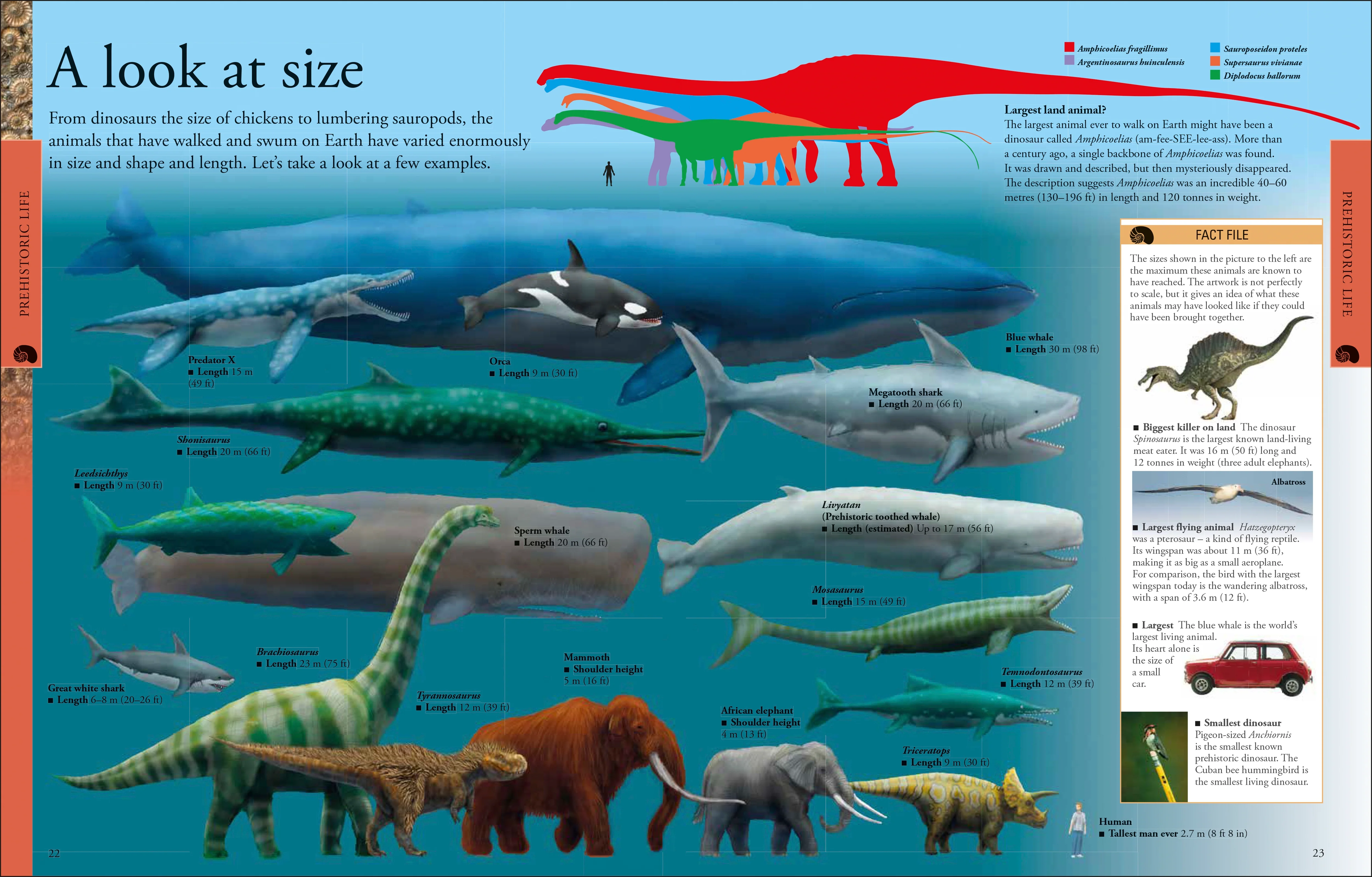 Dinosaurs A Children's Encyclopedia - Image 6