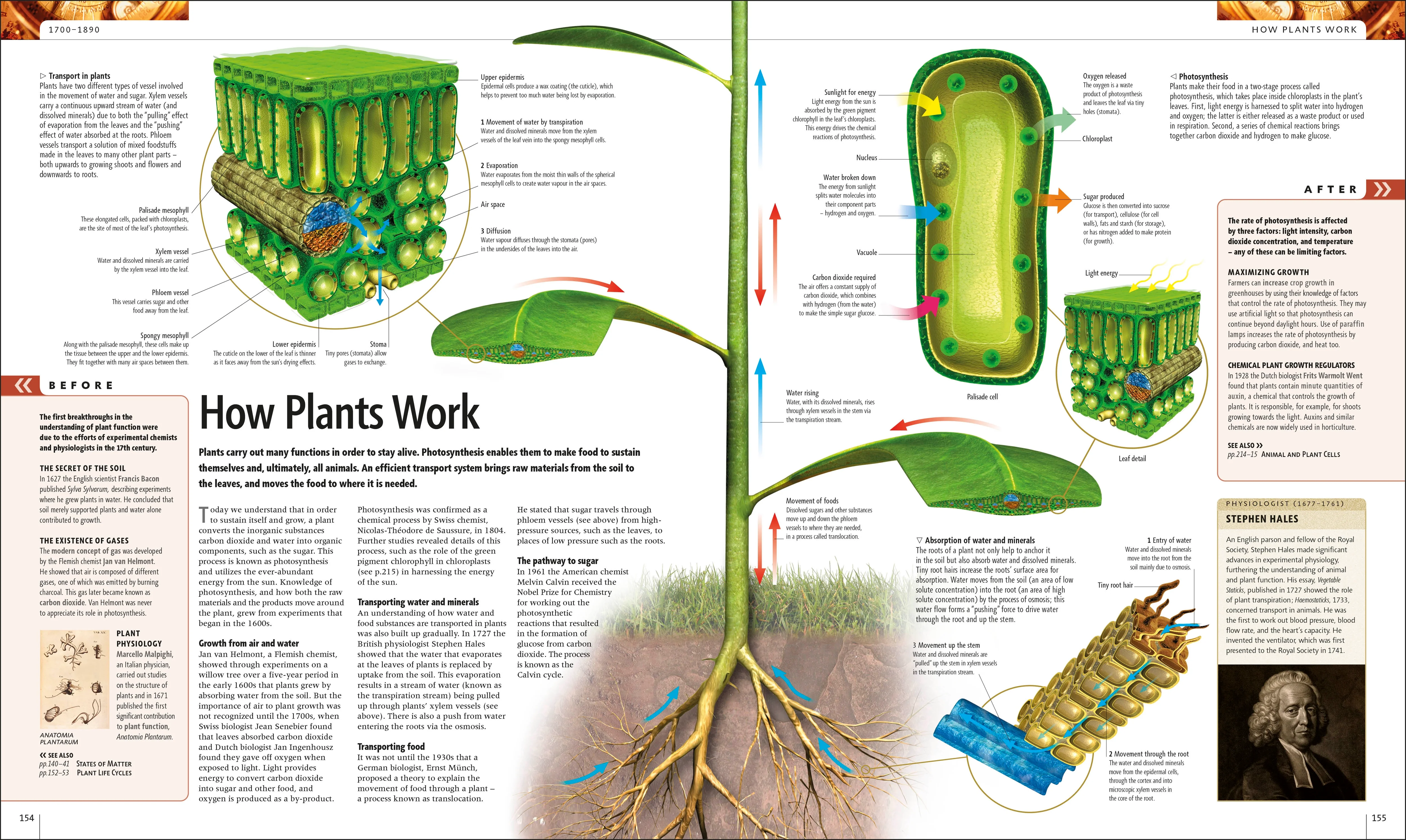 Science - Image 5