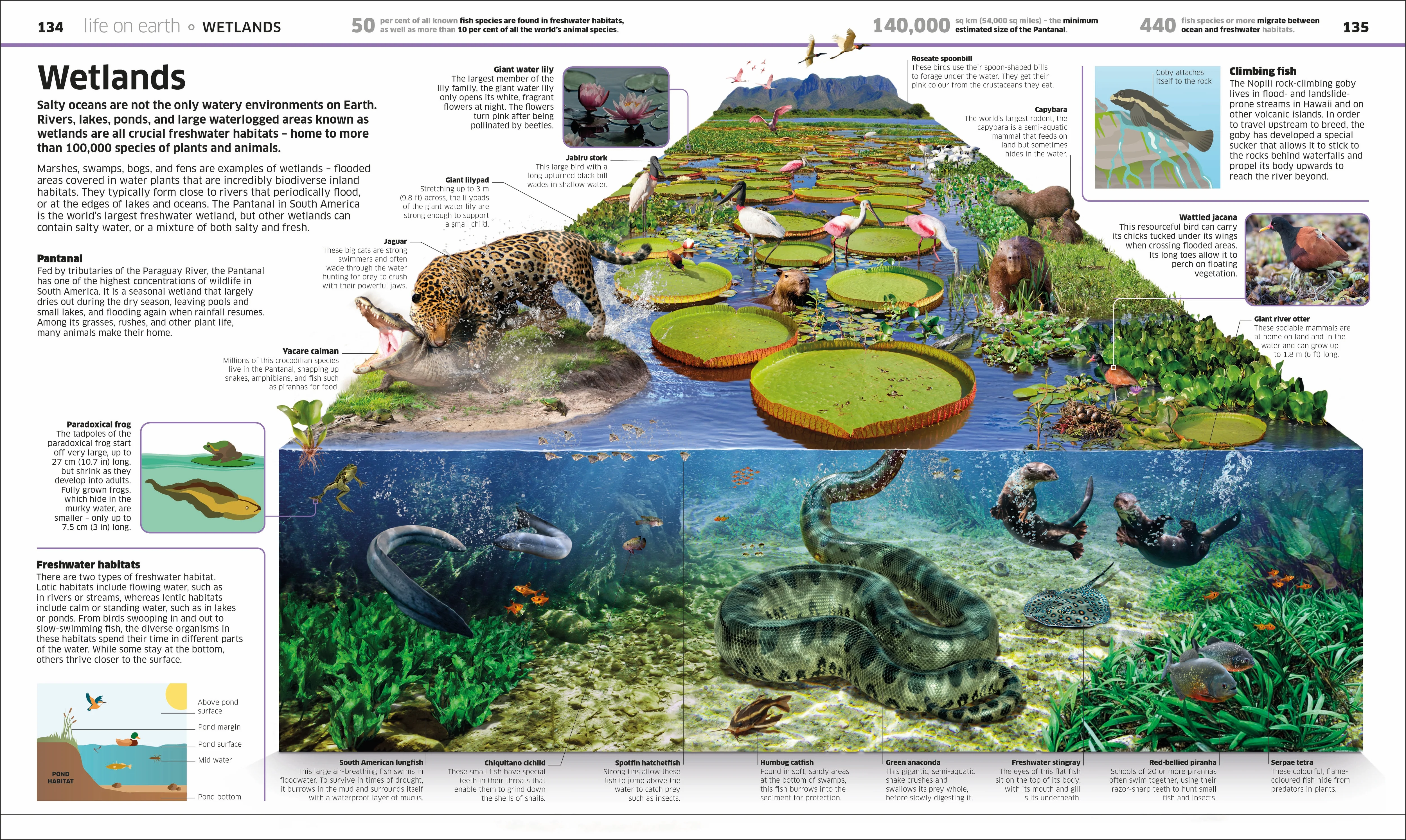 Knowledge Encyclopedia Earth! - Image 11