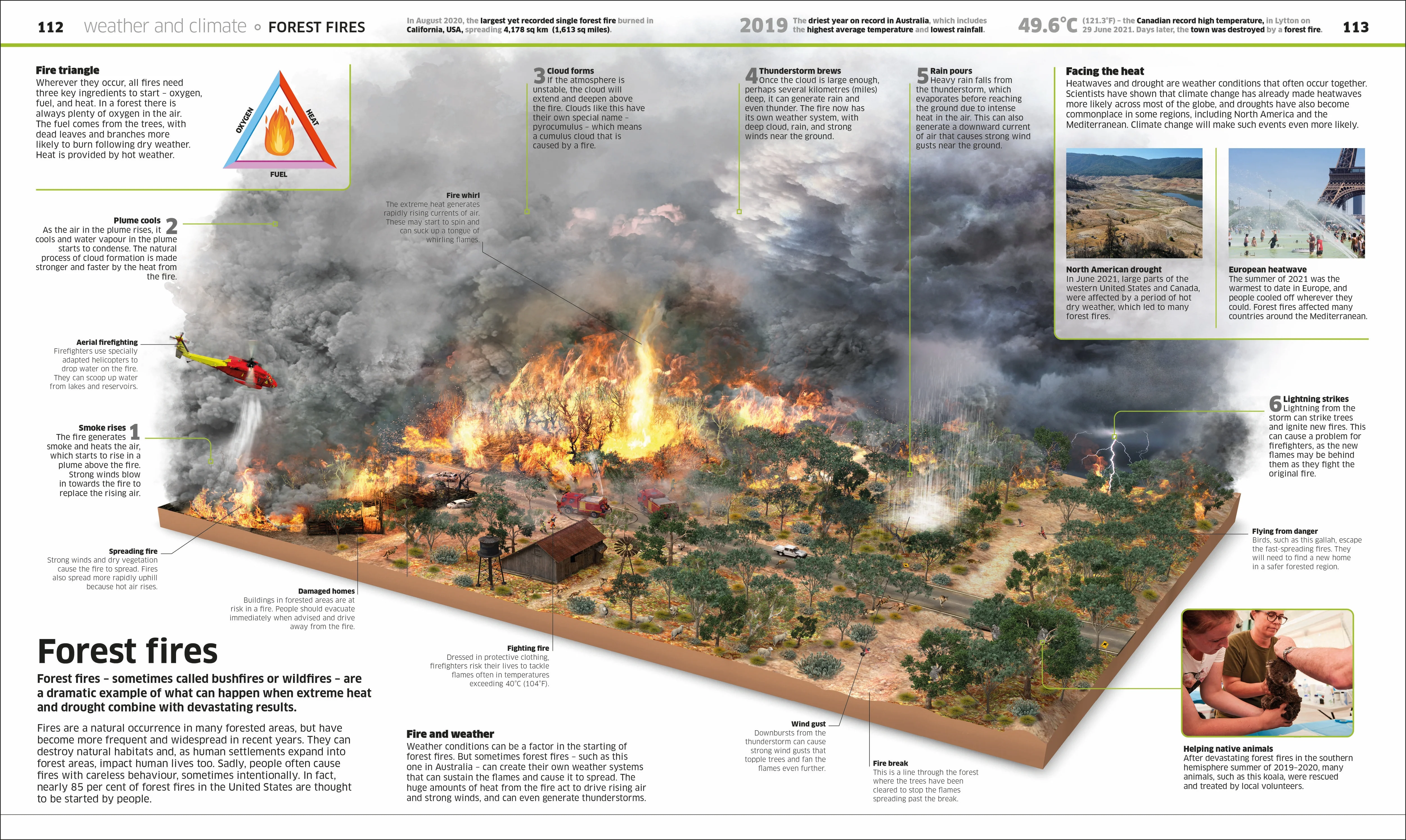 Knowledge Encyclopedia Earth! - Image 8