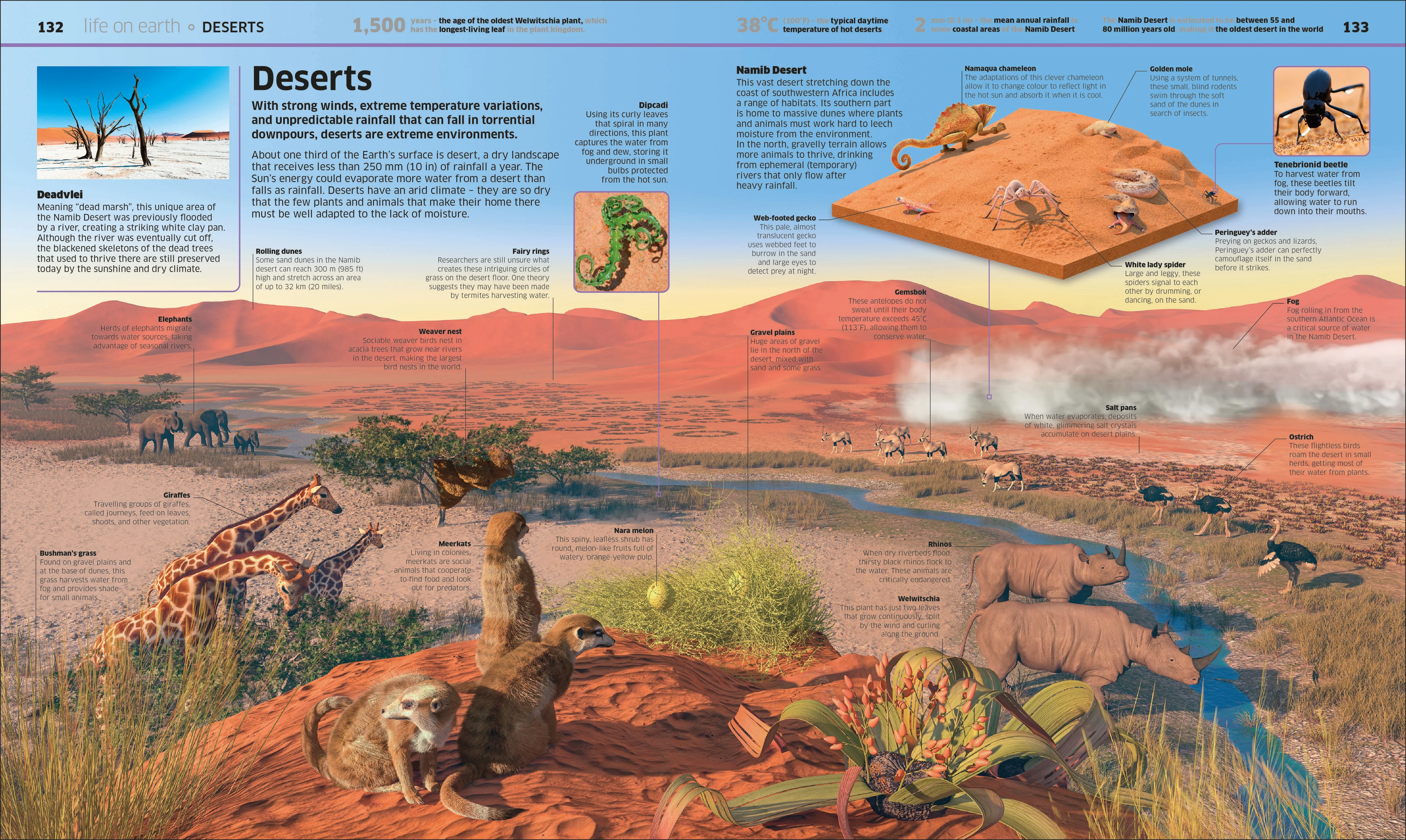 Knowledge Encyclopedia Earth! - Image 9