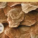 It Can't Be True! Human Body! - Image 3