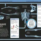 It Can't Be True! Human Body! - Image 4