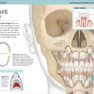 It Can't Be True! Human Body! - Image 6