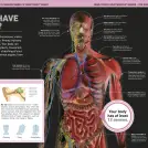 It Can't Be True! Human Body! - Image 8