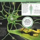 It Can't Be True! Human Body! - Image 9