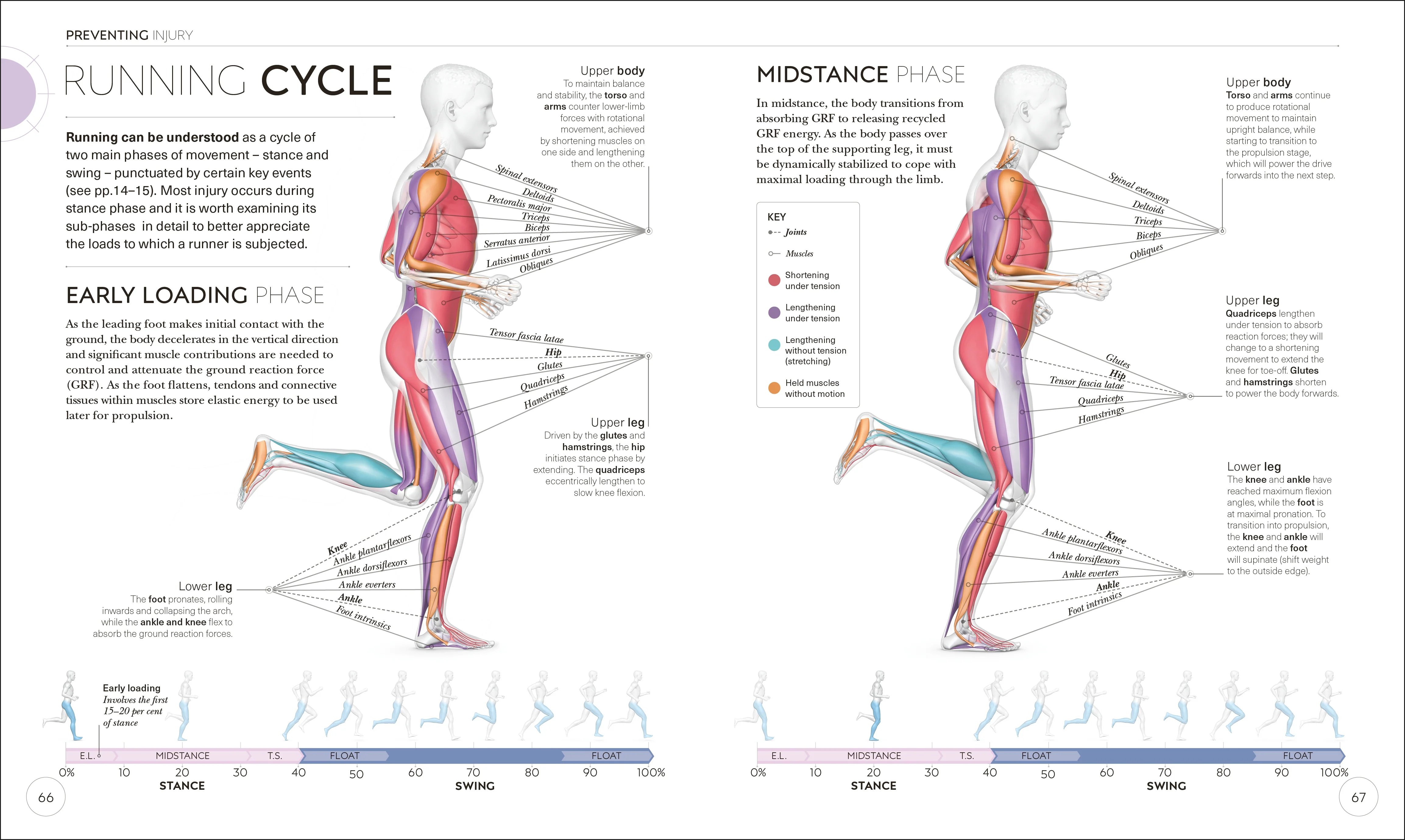 Science of Running - Image 3