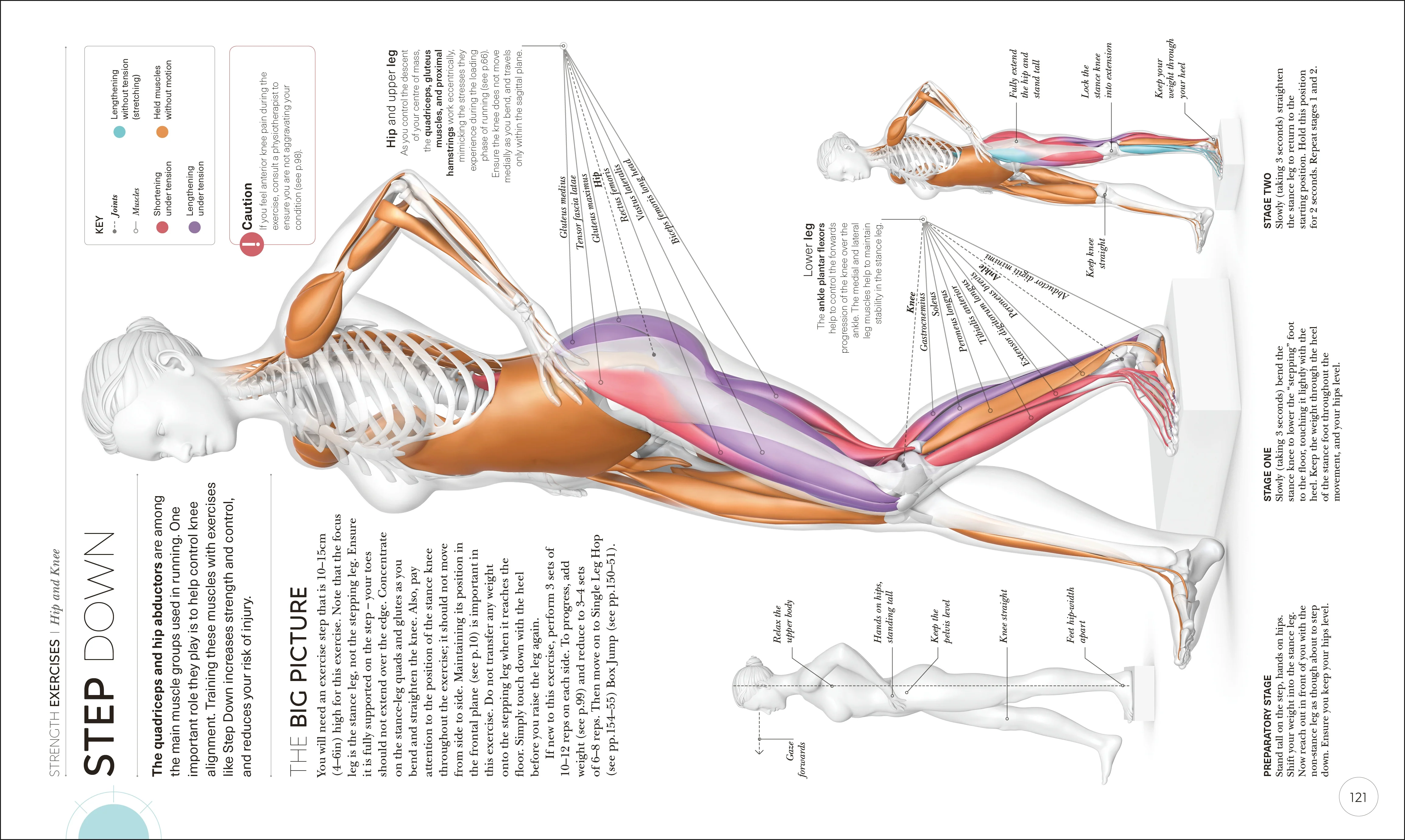 Science of Running - Image 5