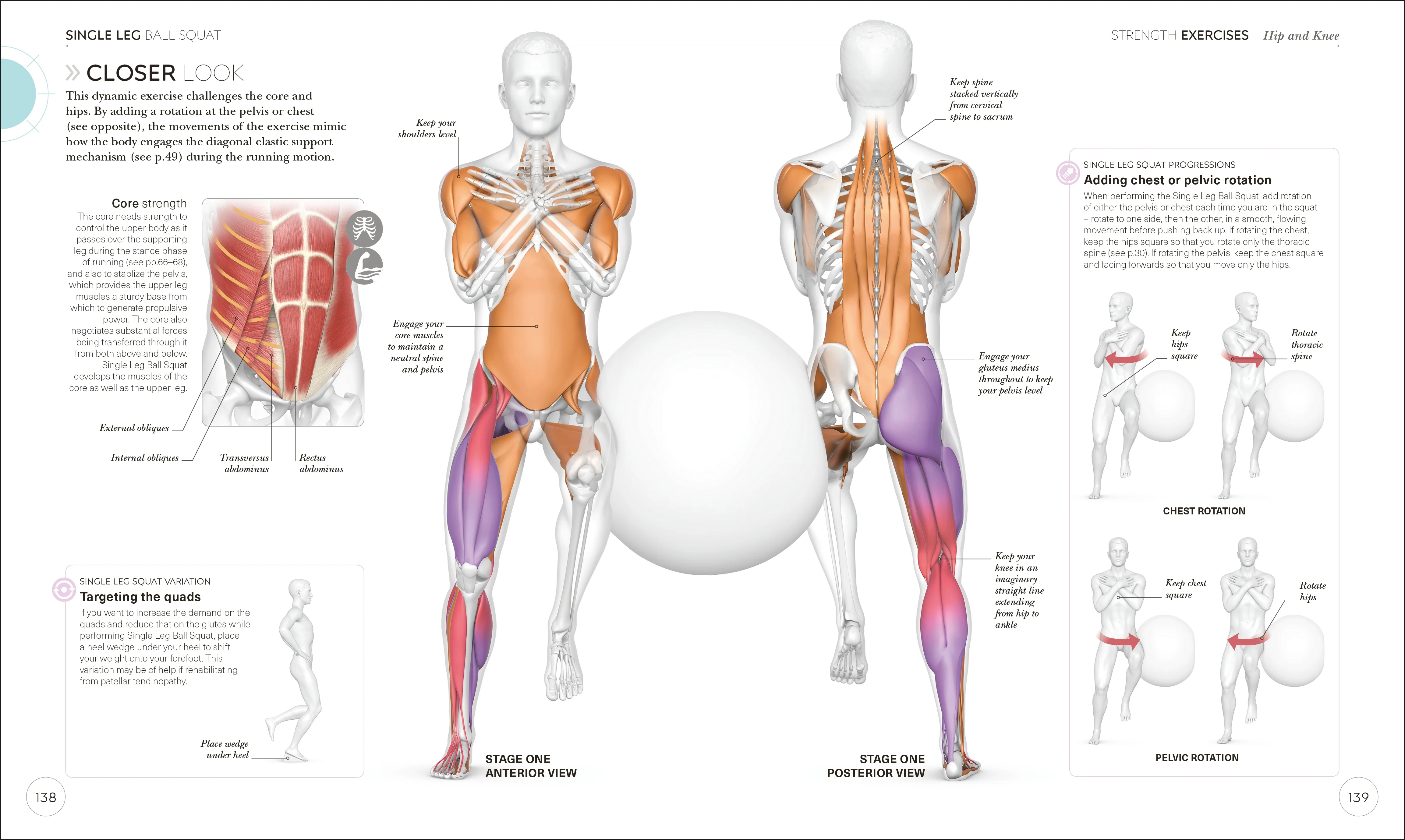 Science of Running - Image 6