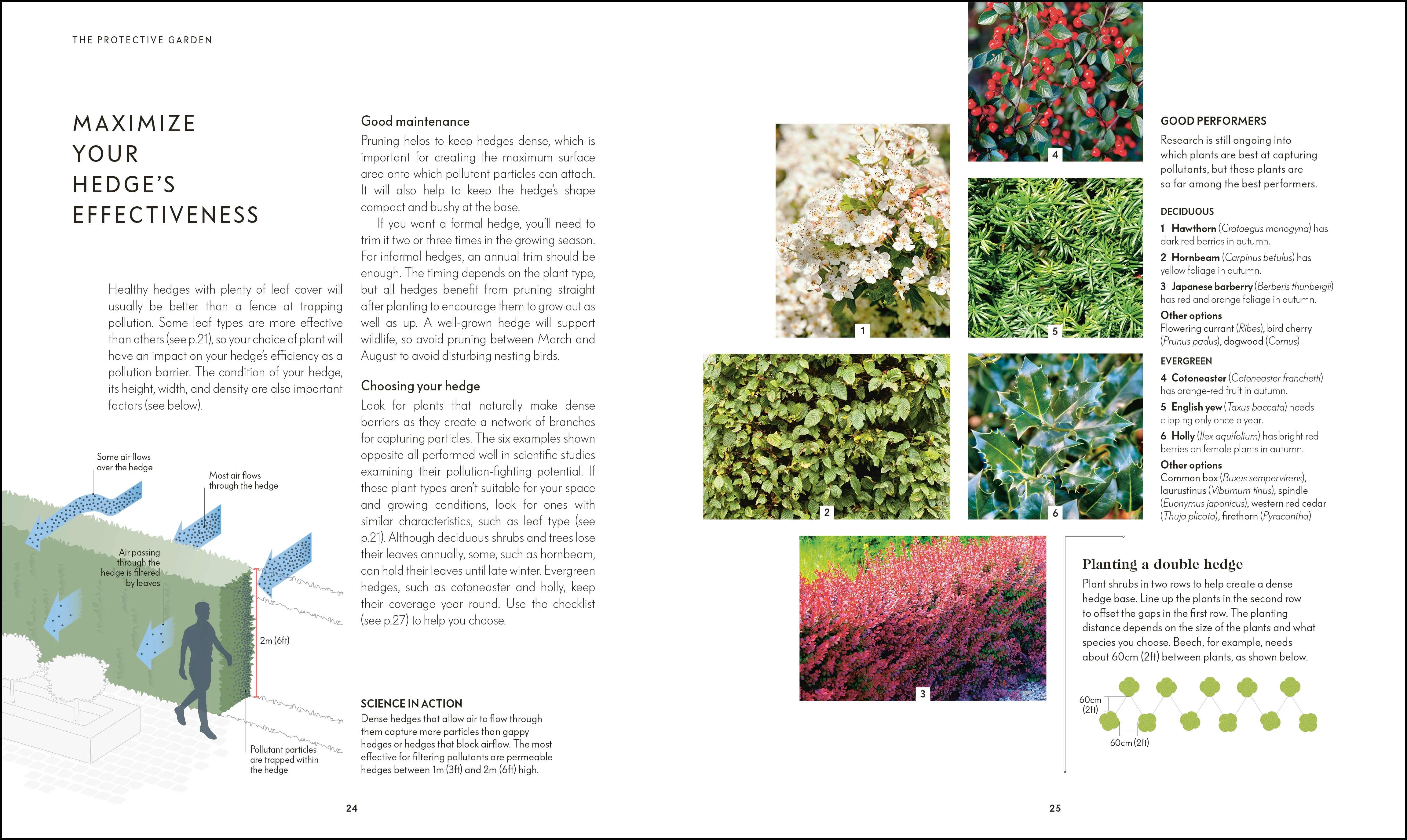 RHS Your Wellbeing Garden - Image 3