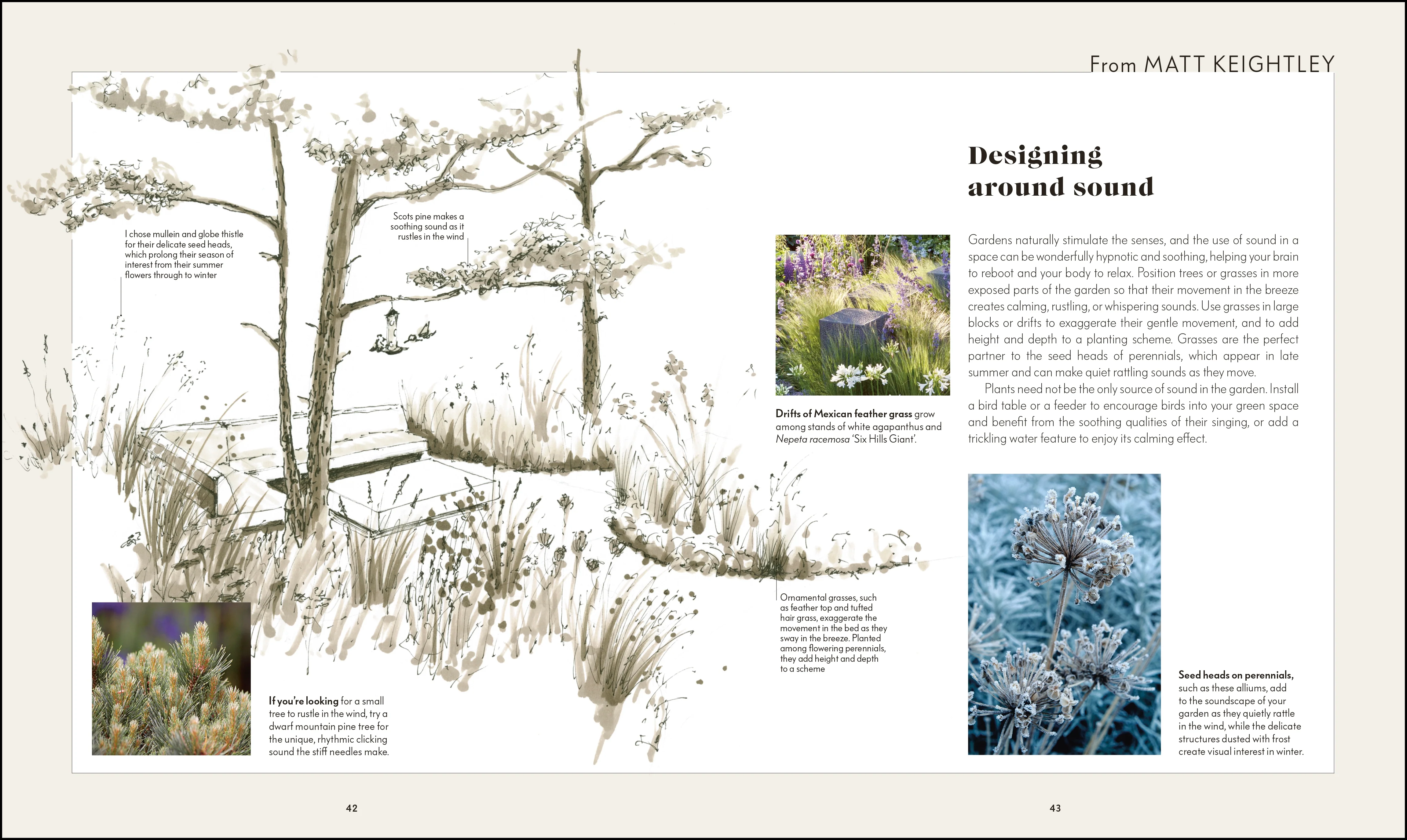 RHS Your Wellbeing Garden - Image 4