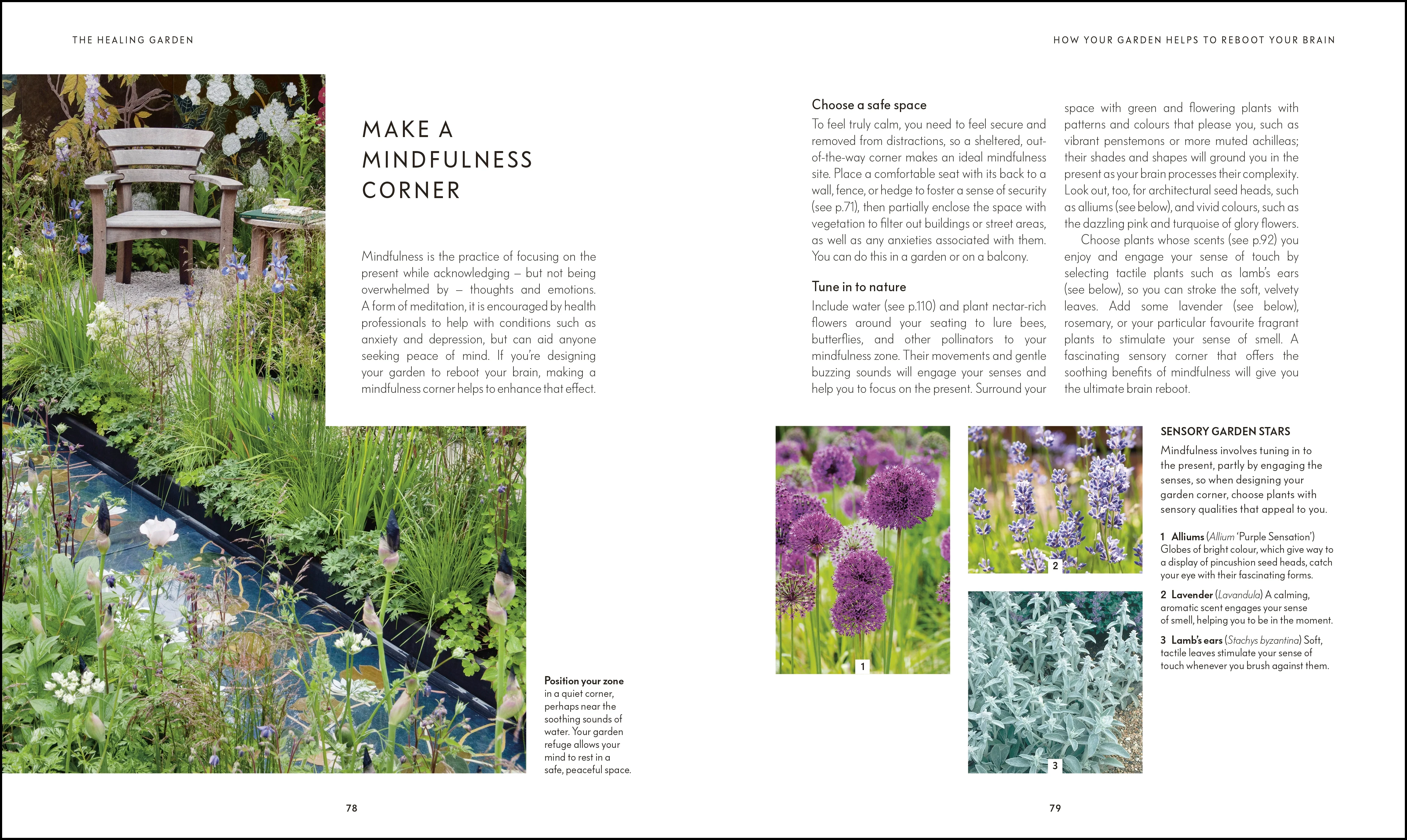 RHS Your Wellbeing Garden - Image 5