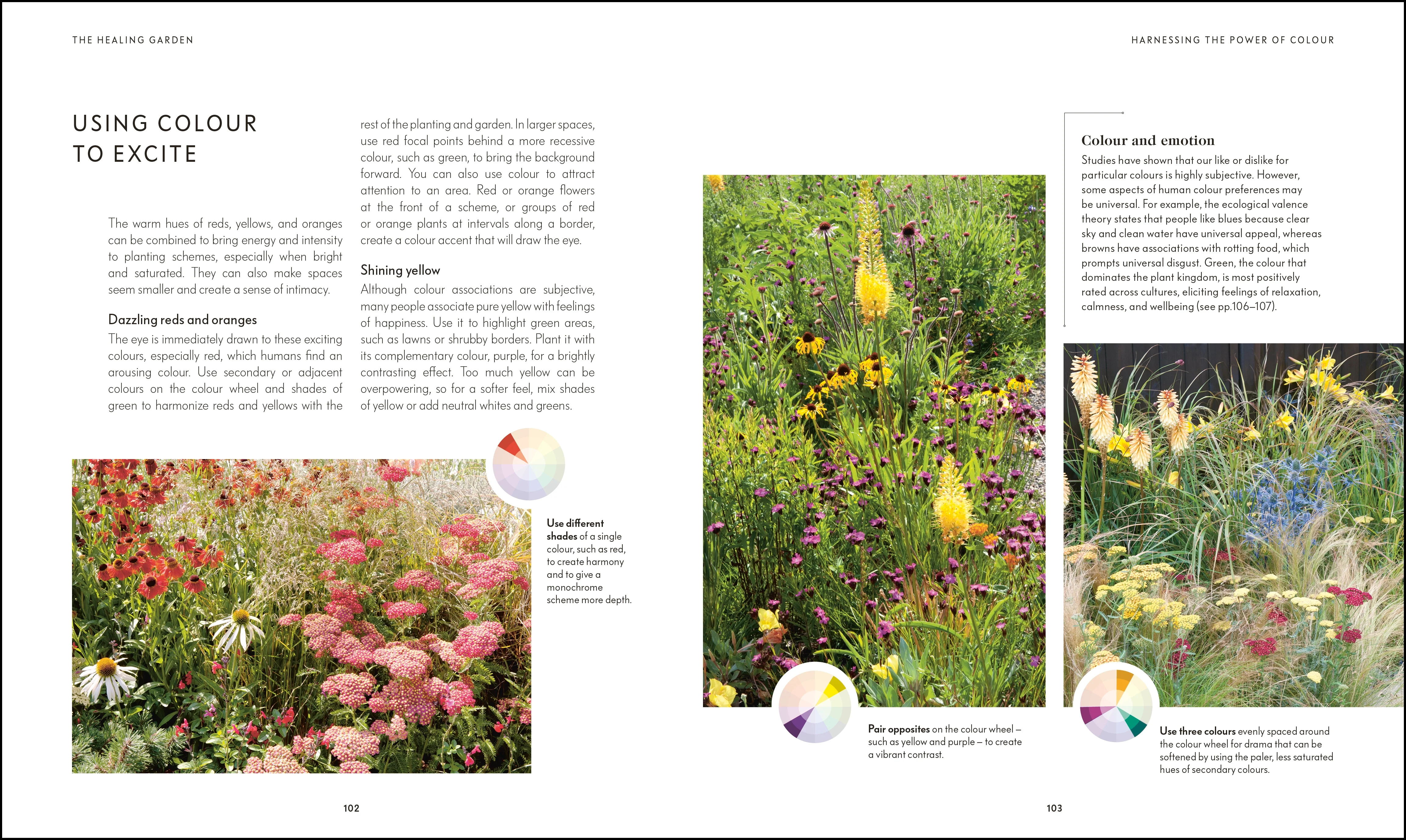 RHS Your Wellbeing Garden - Image 7