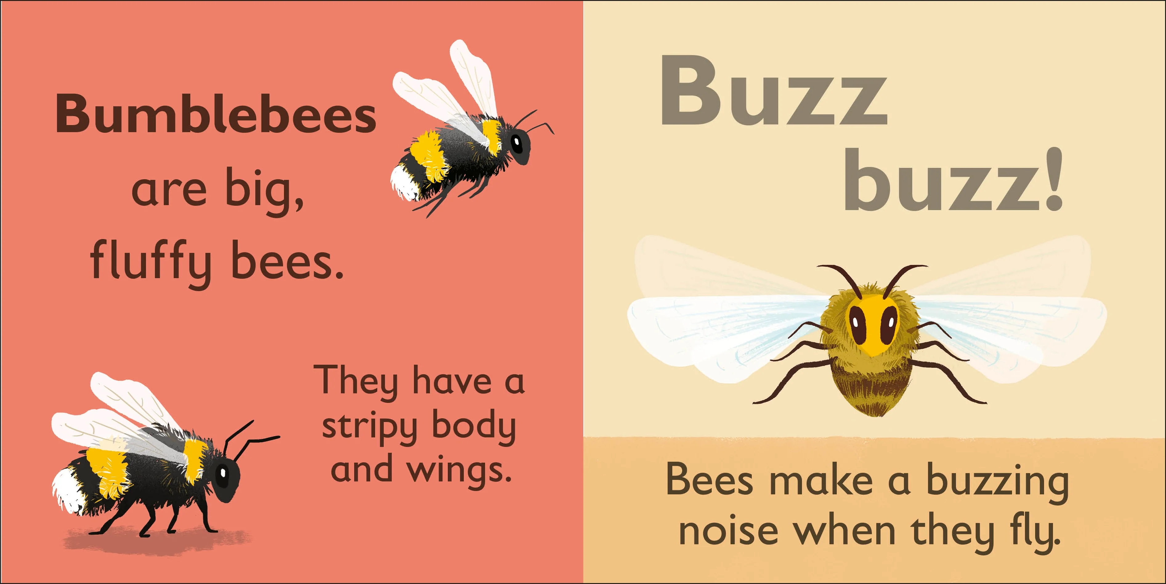 B is for Bee - Image 2
