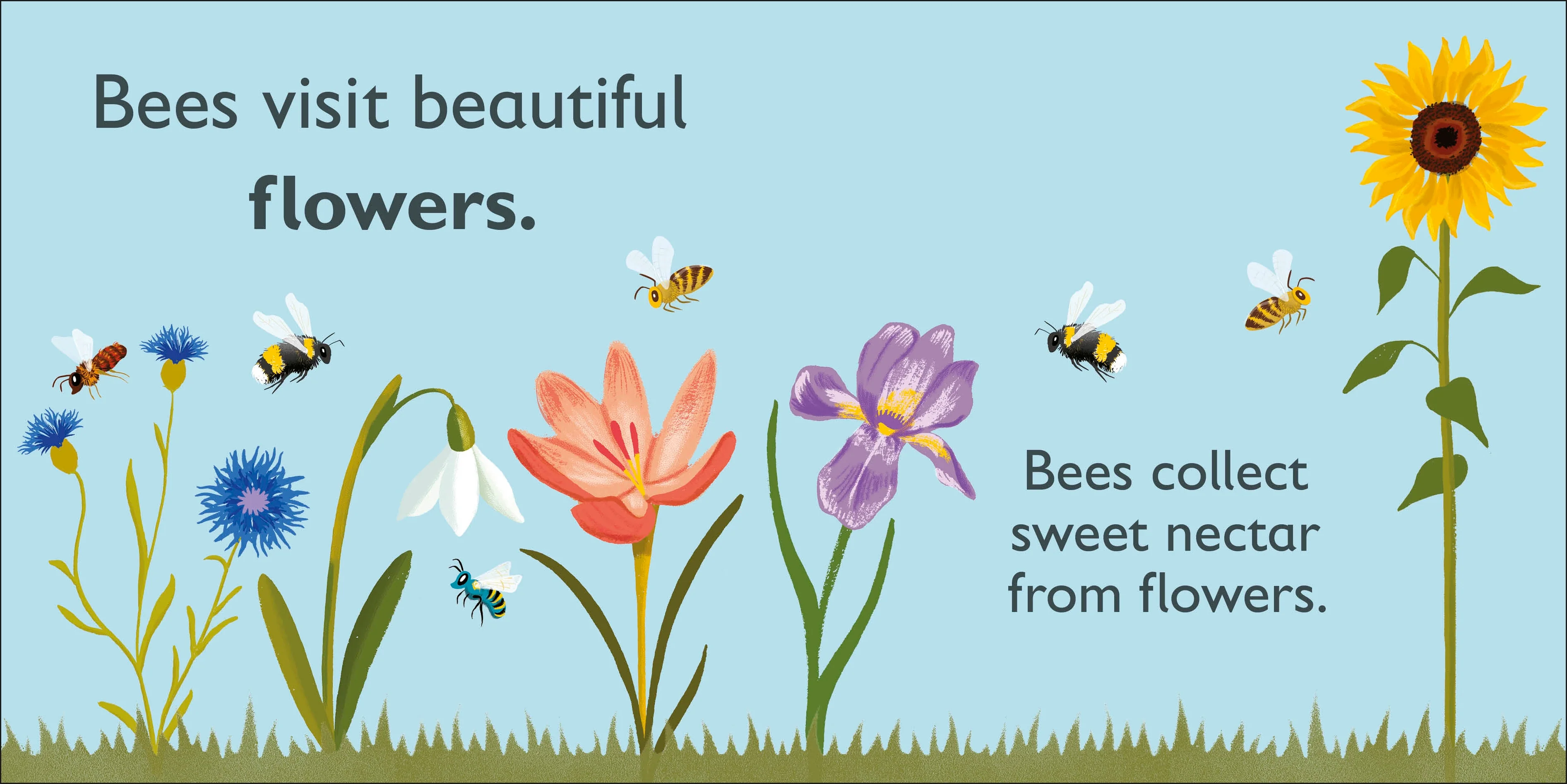 B is for Bee - Image 3