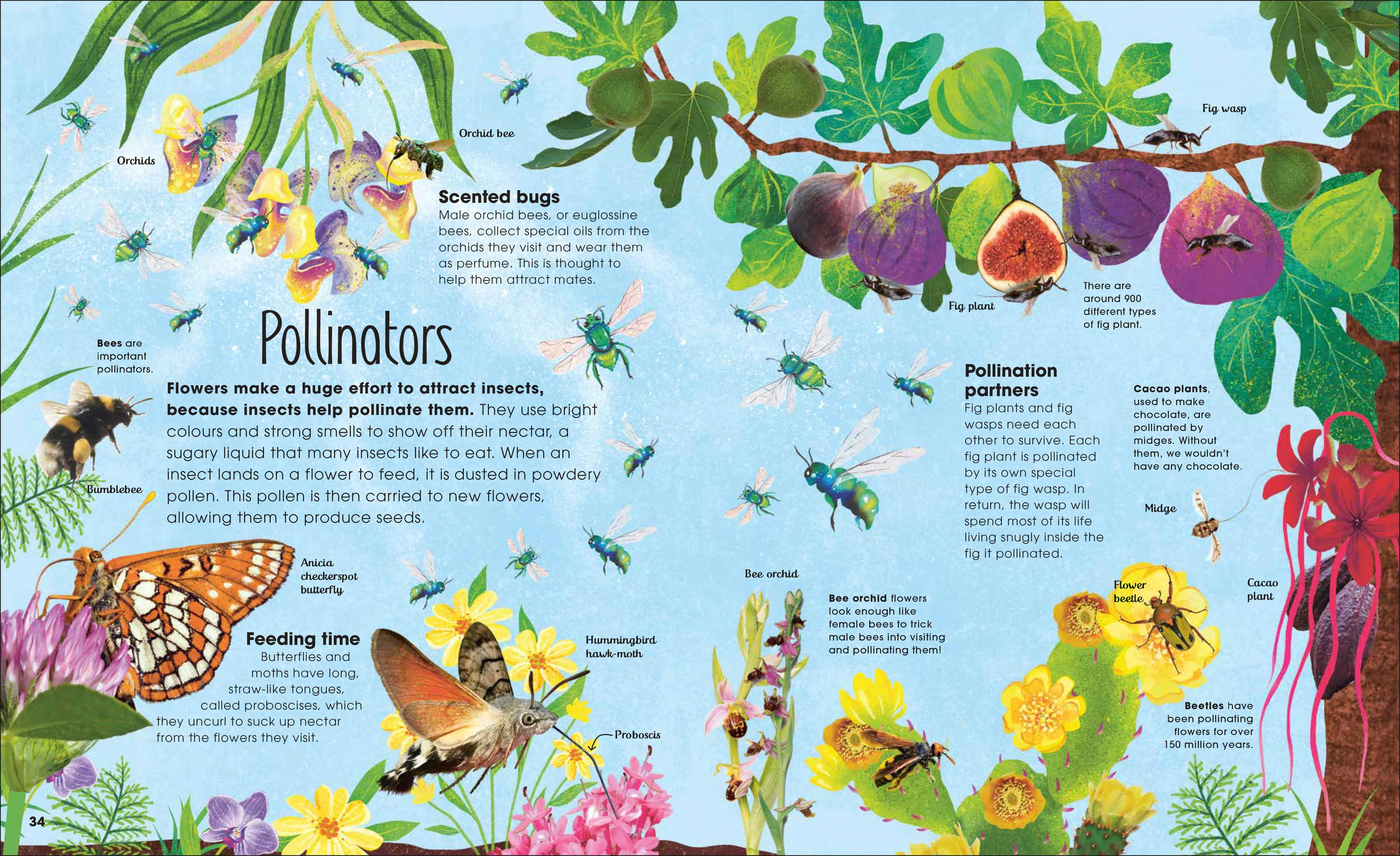 The Book of Brilliant Bugs - Image 2