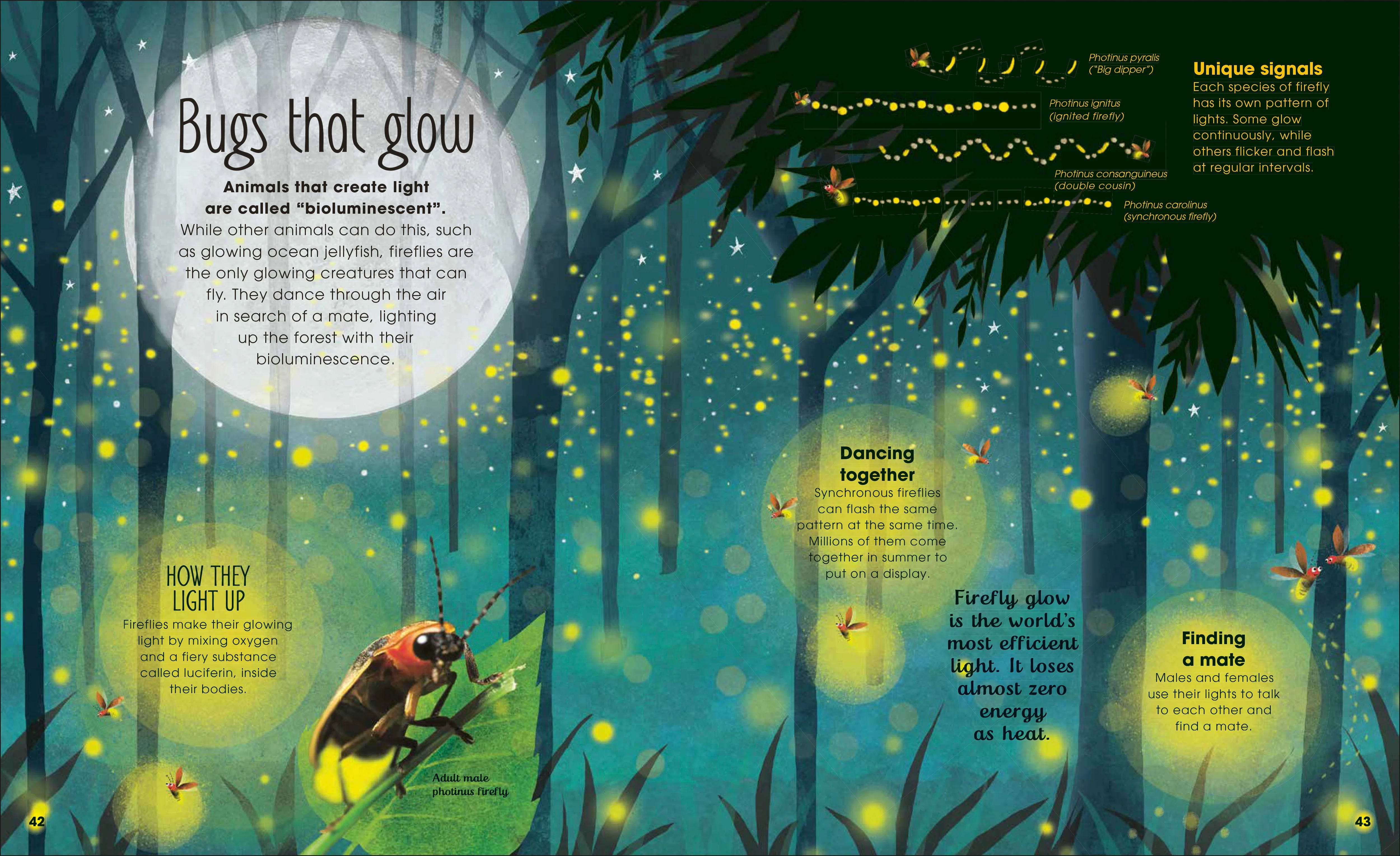 The Book of Brilliant Bugs - Image 3