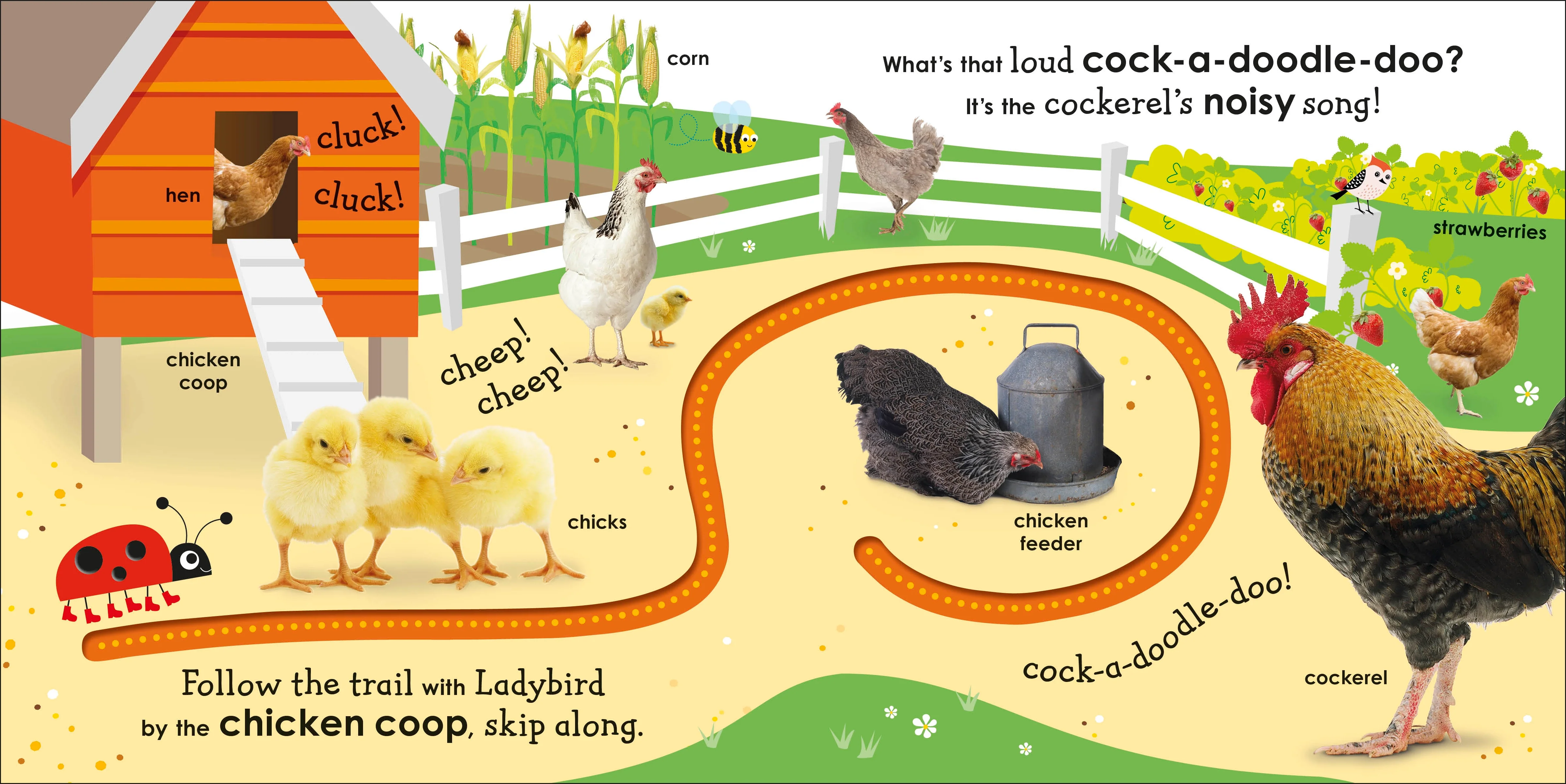 On the Farm with a Ladybird - Image 4