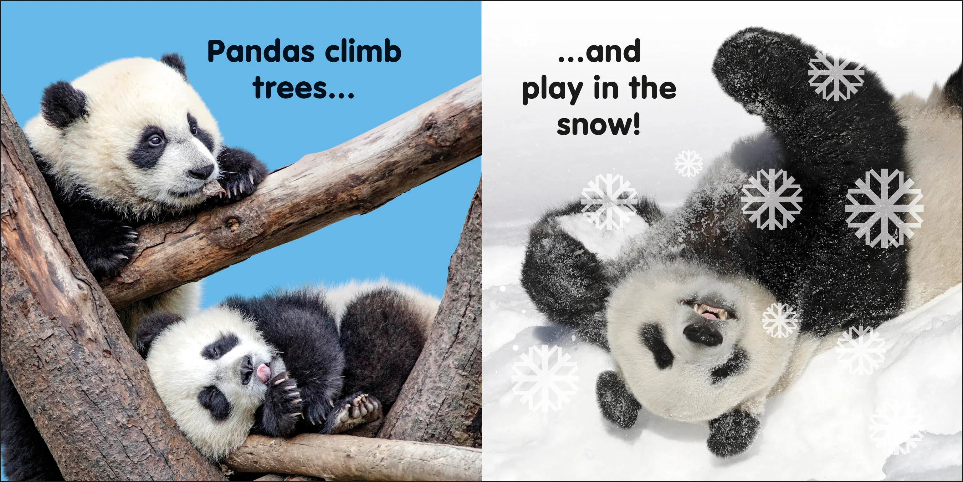 Baby Touch and Feel Panda - Image 4