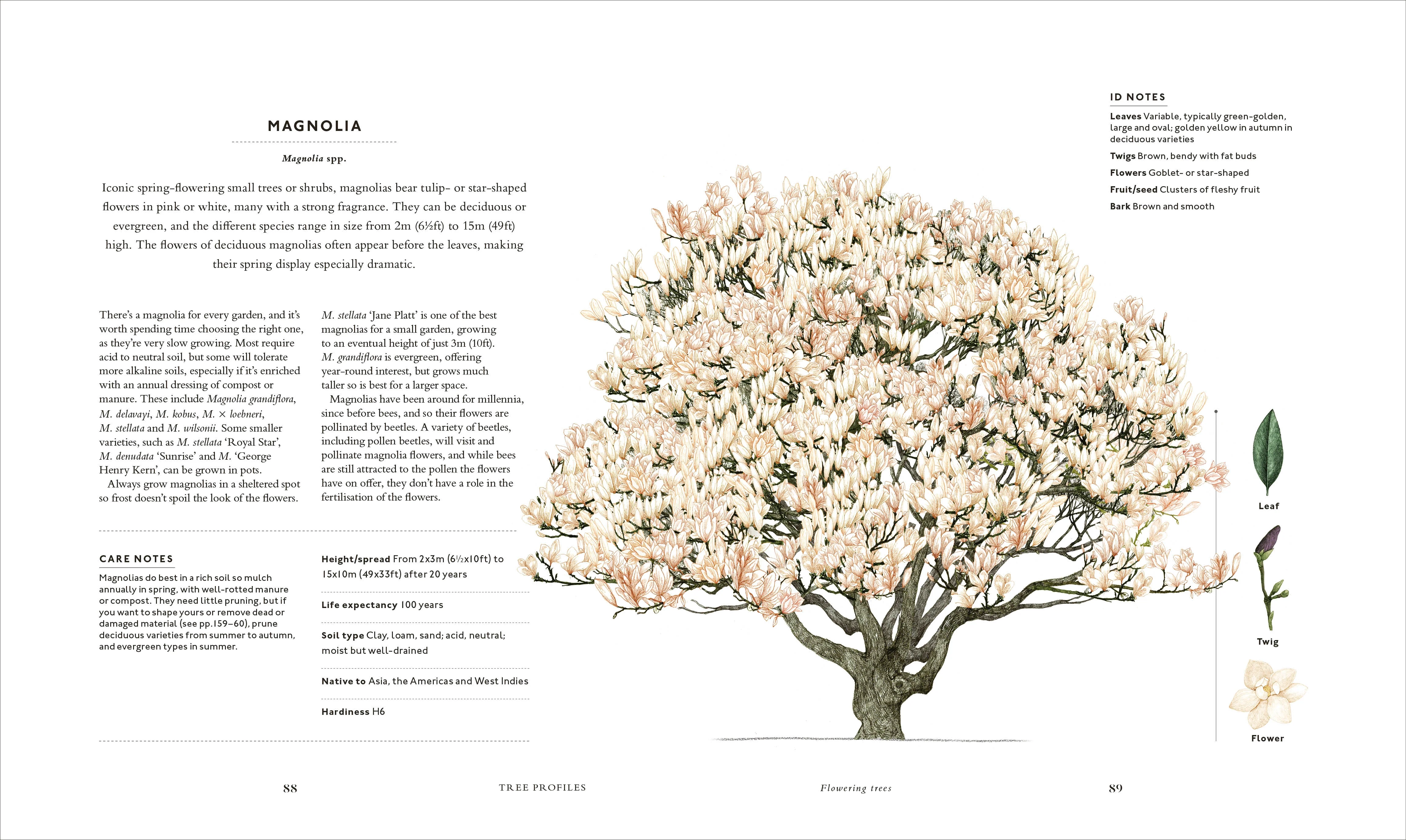 RHS The Tree in My Garden - Image 5